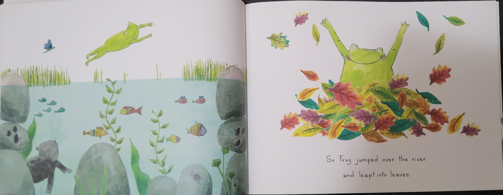 หนังสือนิทานปกอ่อน** ♥️♥️SO FROG