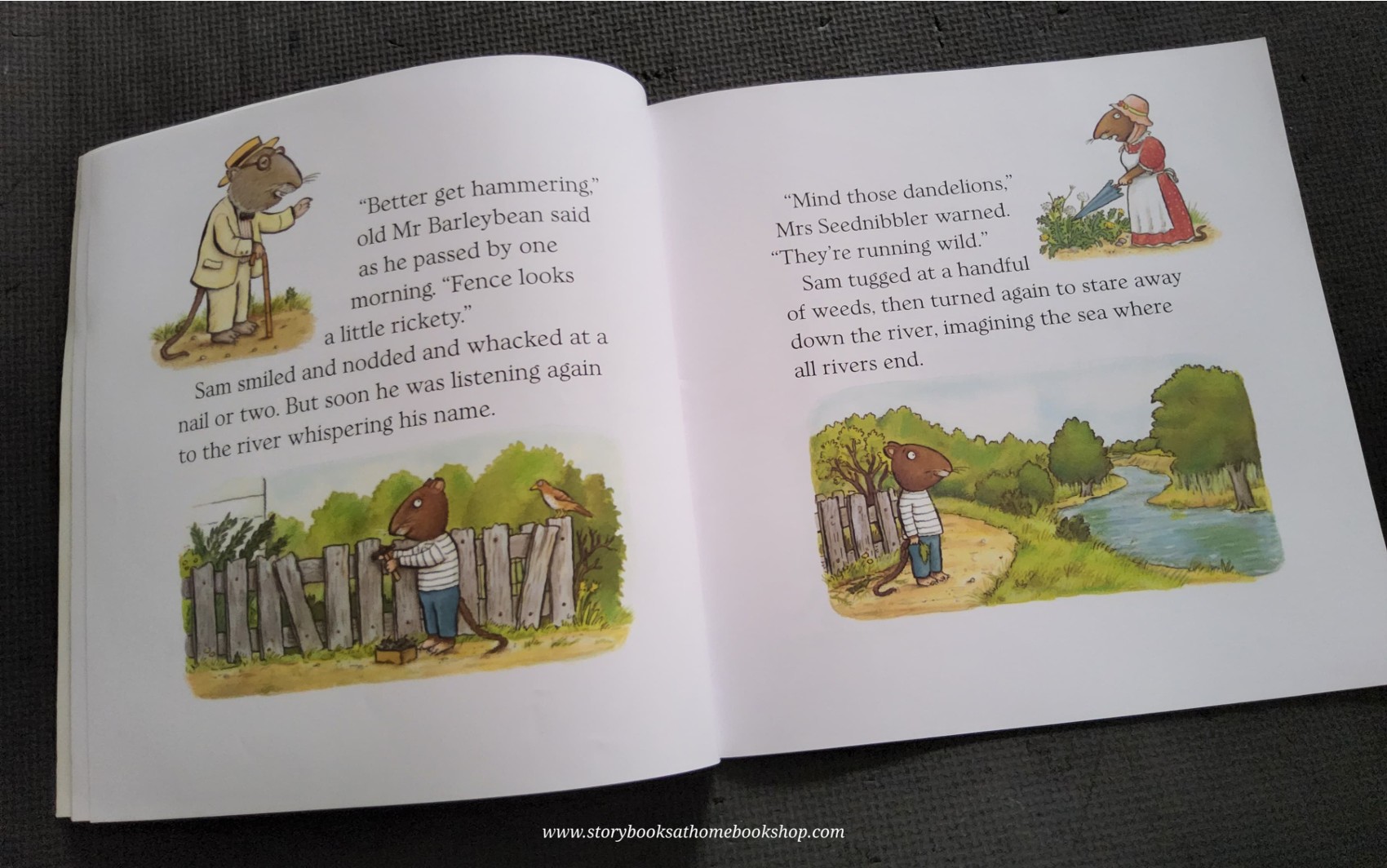 หนังสือนิทานปกอ่อน** 🍅🍅SAM WHO WENT TO SEA BY PHYLLIS ROOT AND AXEL SCHEFFLE