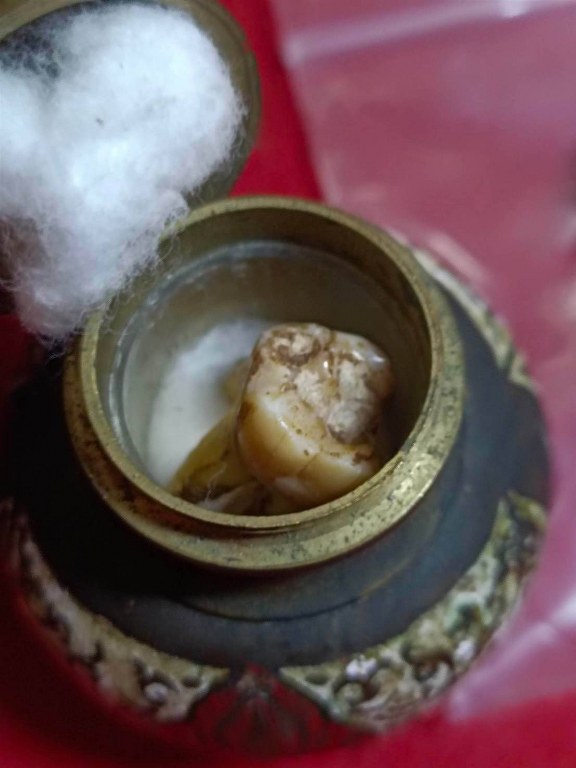 พระทันตธาตุครูบาคำ สังวโร วัดศรีดอนตัน ต.มะเขือแจ้ อ.เมือง จ.ลำพูน ชุดนี้ได้มาจาก พระชัย อายุ 42 ปี เคยอยู่กับ และรับใช้ครูบาคำ ตอนนี้ (พ.ศ.2566) พระชัยจำพรรษาอยู่วัดแม่สารป่าขาม อ.เมือง จ.ลำพูน