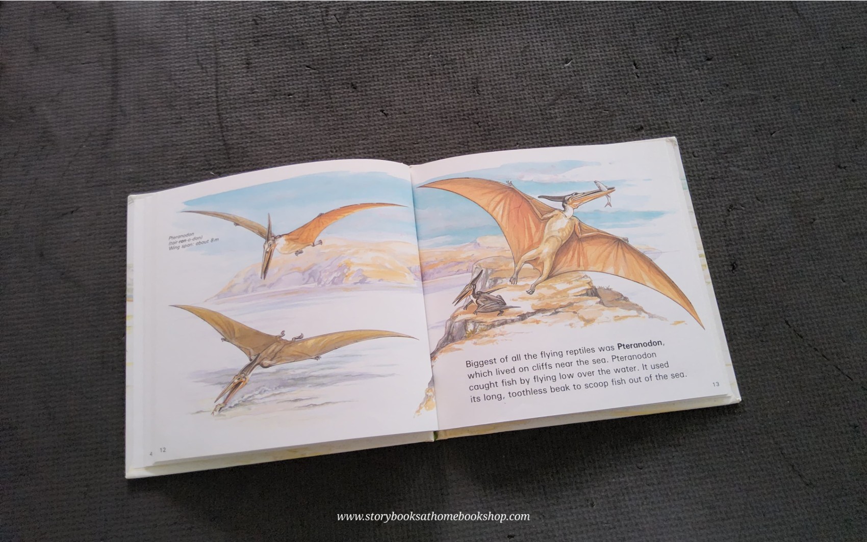 KNOWLEDGE BOOK** ð
ðDINOSAURS