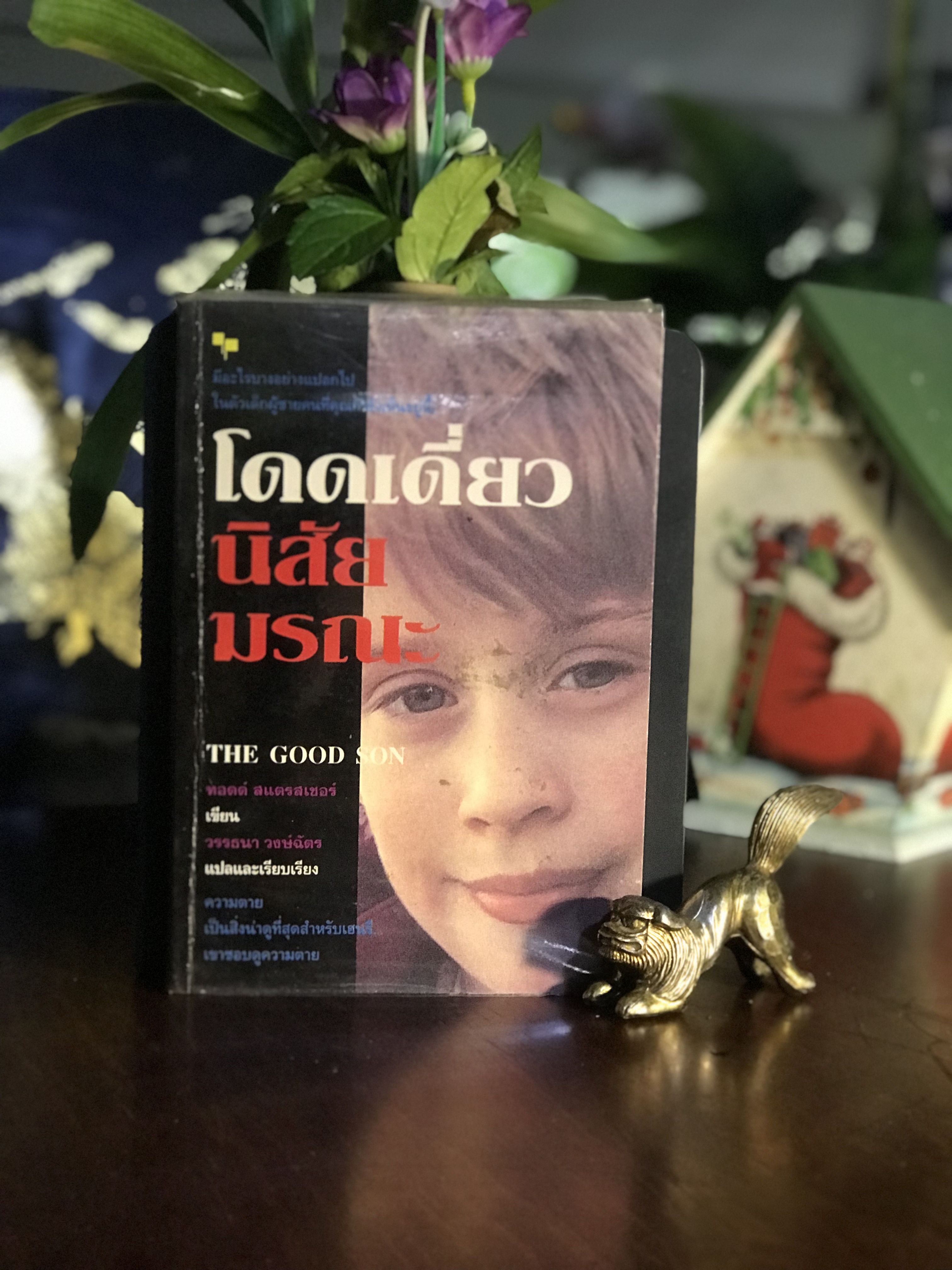 โดดเดี่ยวนิสัยมรณะ แปลจากเรื่อง: THE GOOD SON ผู้เขียน: ทอดด์ สแตรสเซอร์ ผู้แปลและเรียบเรียง: วรรณา วงษ์จิตร | WA9