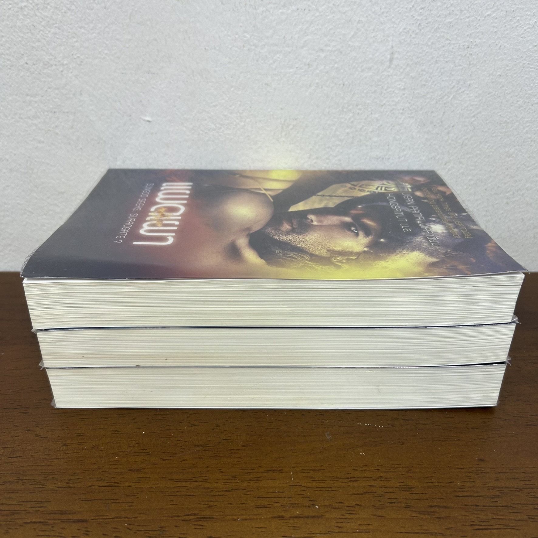 ชุด ACCIDENTALLY YOURS อุบัติเหตุรัก - แผดเผา/จับจอง/ล่อลวง (มือสอง) นิยายแปล ห้องสมุด