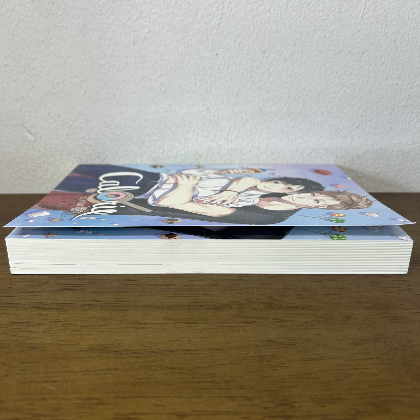 [YAOI] Calorie ผมแค่มารอลี่ ... Gloomy Sunday (มือสอง) นิยายวาย Hermit