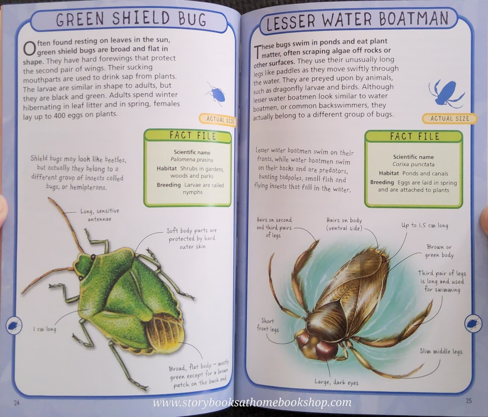 KNOWLEDGE BOOK** 🍅🍓 SPOT 50 INSECTS HOW TO IDENTIFY 50 SPECIES