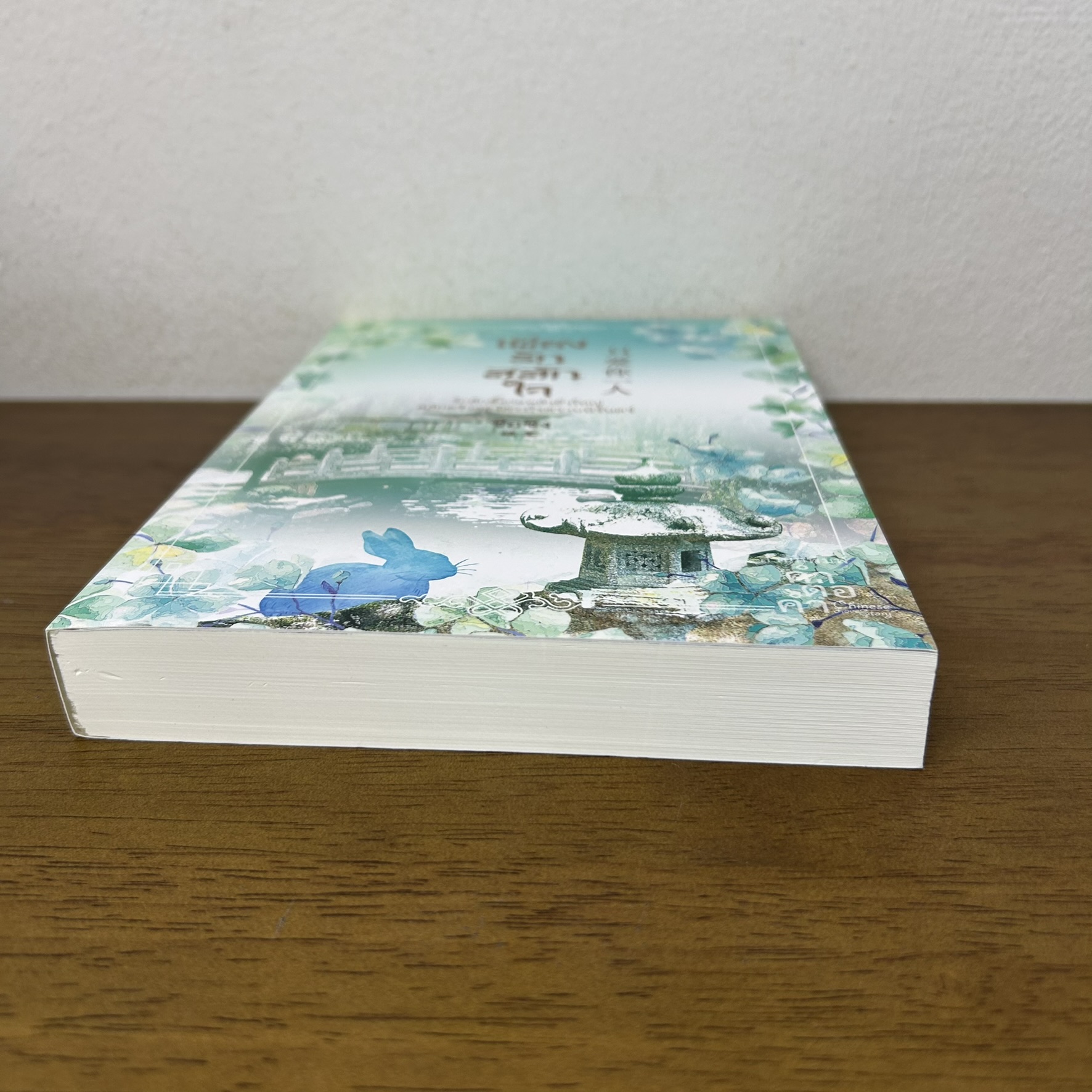 เพียงรักสลักใจ ... ซือซิง (มือสอง) นิยาย คำต่อคำ จีนโบราณ