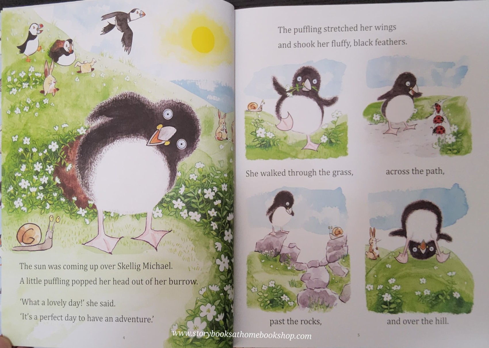 หนังสือนิทานปกแข็ง** 🍅WHERE ARE YOU,PUFFLING? A SKELLING ADVENTURE