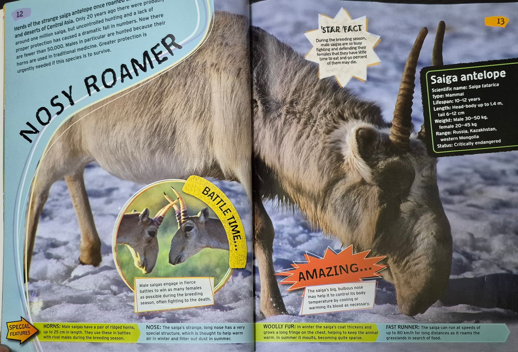 KNOWLEDGE BOOK** ð
ðWILD NATURE ENDANGERED ANIMALS