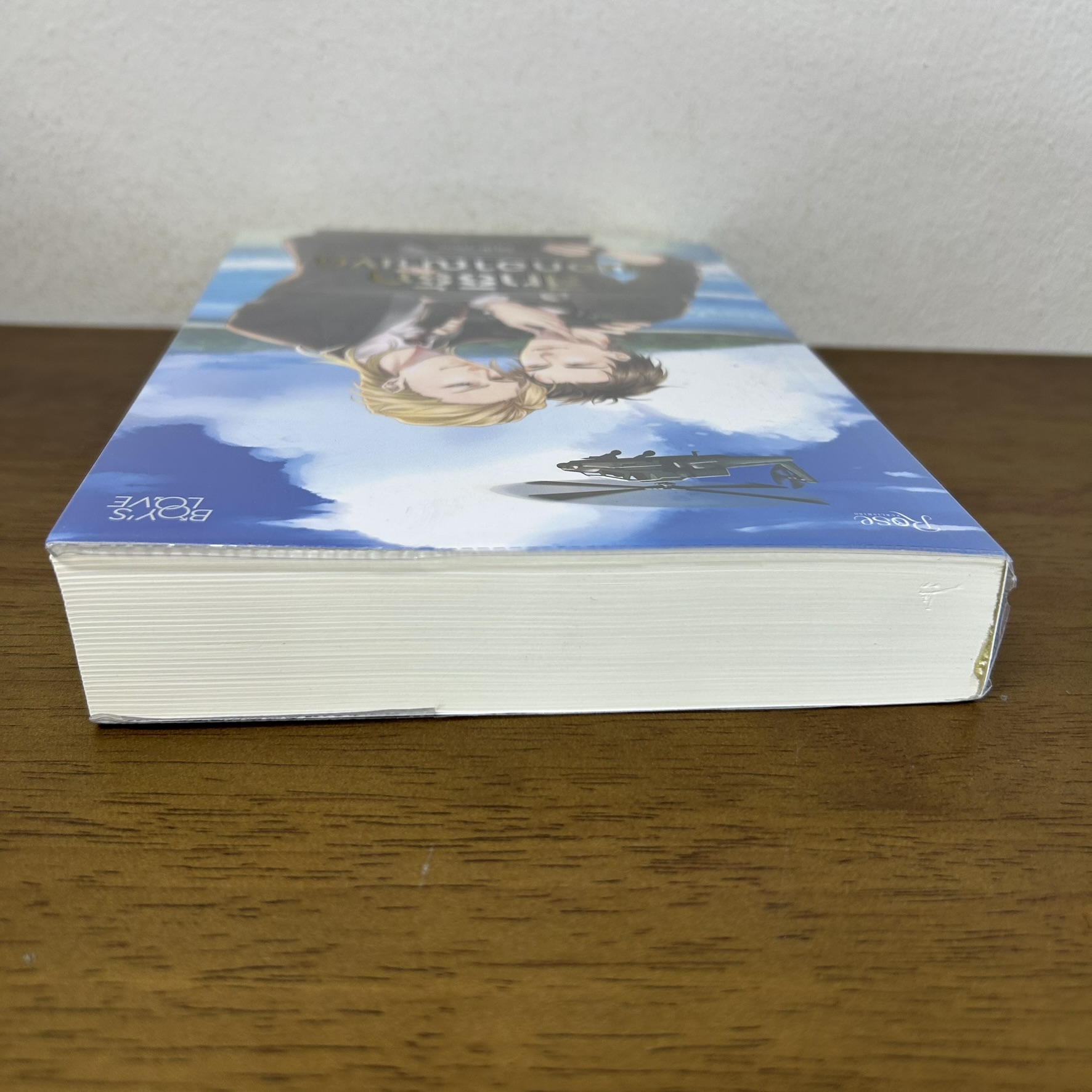 [YAOI] สิทธิรักนอกอาณาเขต ... Muk (มือสอง) นิยายวาย Rose