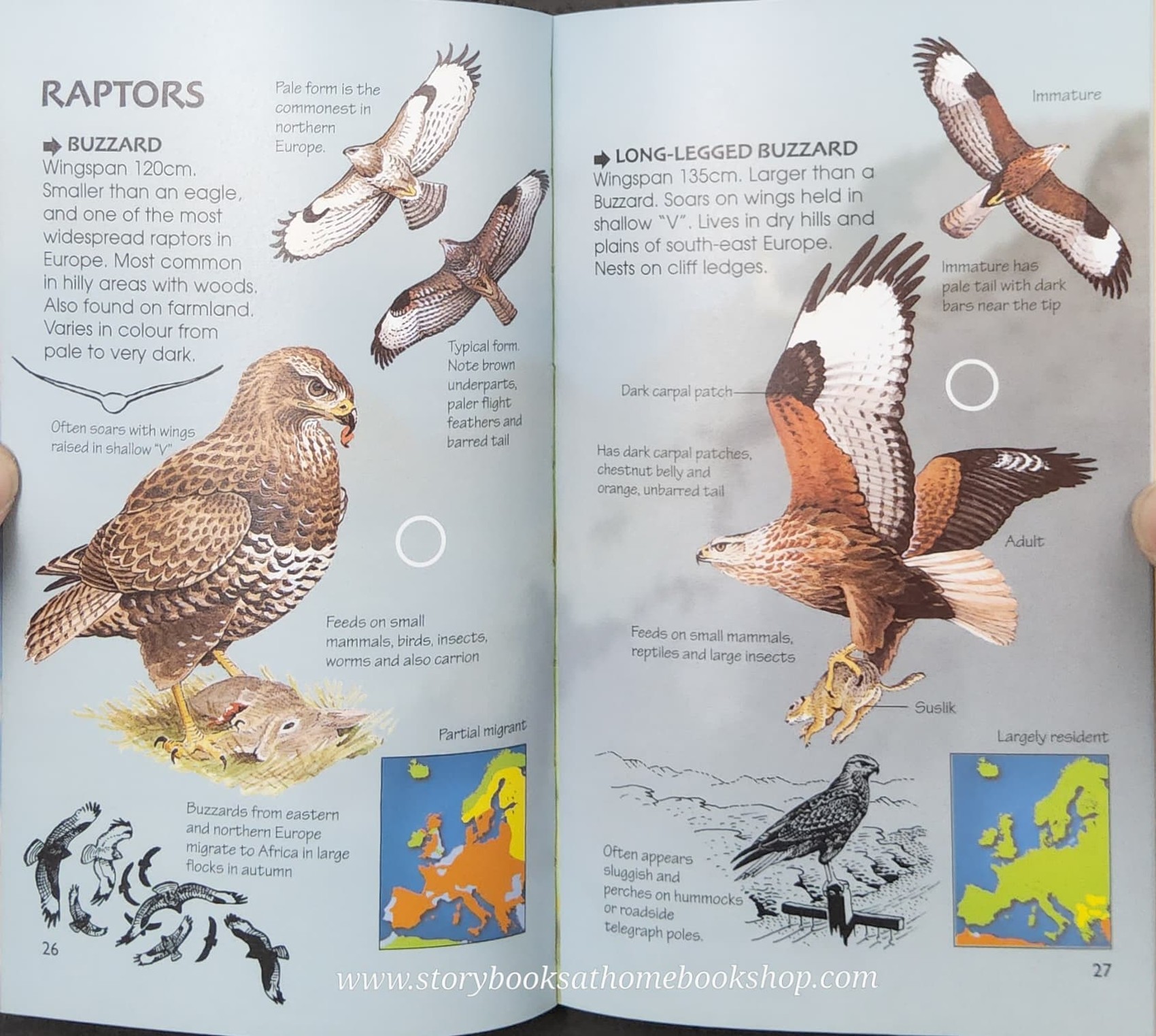 Knowledge Book** ð
ð
Usborne Spotter's Guide BIRDS OF PREY