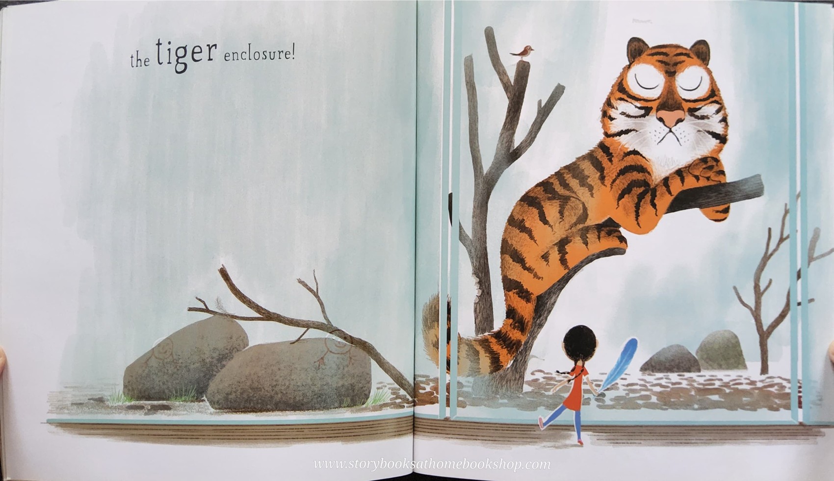 หนังสือนิทานปกอ่อน** 🍅🍅NEVER TICKLE A TIGER BYPAMELA BUTCHART