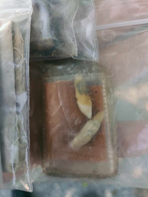 พระทันตธาตุหลวงปูู่่แสวง วัดศิลาวารี อ.เถิน จ.ลำปาง ได้มาจากคุณลุงประเสริฐ อายุ 82 ปี คุณลุงประเสริฐ ได้มาจากลุงสมหมาย อายุ 74 ปี อาชีพขับรถรับส่งคนจากอำเภอเถิน - เข้าเมืองลำปาง และได้รับพระทันตธาตุนี้มาเมื่อปี 2548