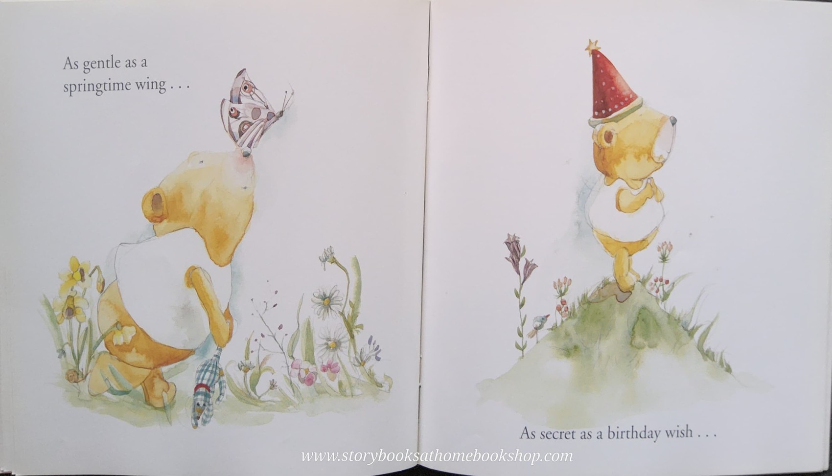 หนังสือนิทานปกอ่อน** 🍅🍓MAMA HOW LONG WILL YOU LOVE ME? BY ANNA PIGNATARO