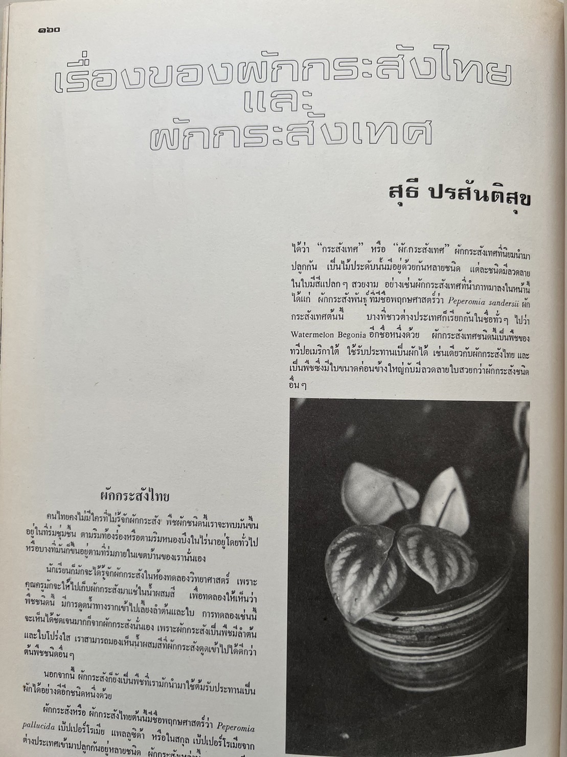 ธรรมชาติศึกษา : ฉบับแนะนำไม้ใบ-ไม้ประดับของไทยและเทศ (ชุดที่ 1 เล่มที่ 2 ลำดับที่ 2 ปี 2521).