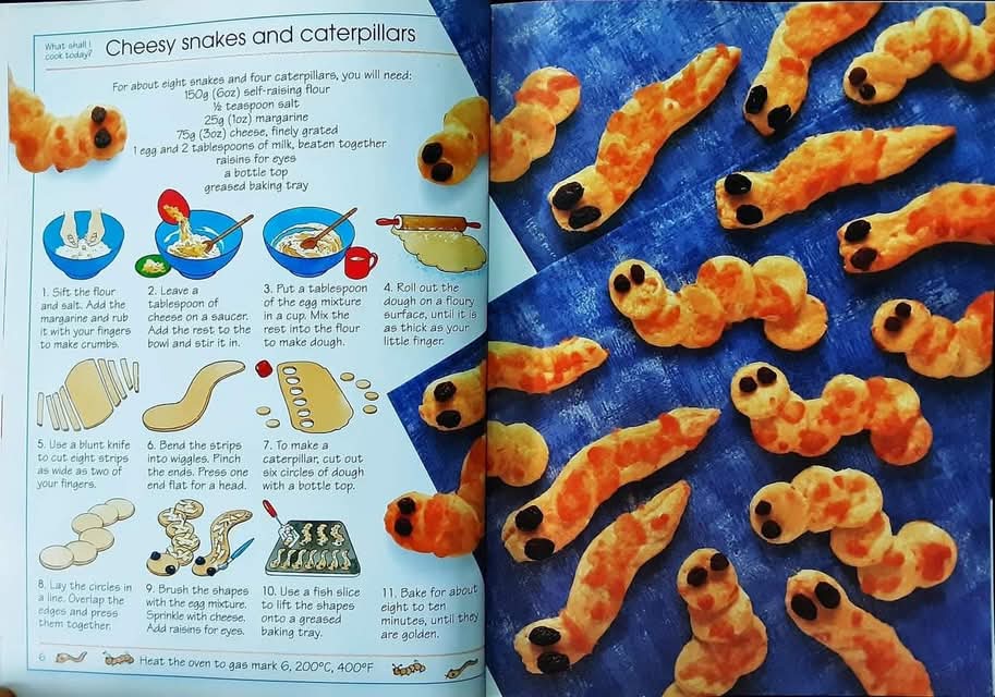 หนังสือปกอ่อน** 🍅🍓What Shall I Cook?