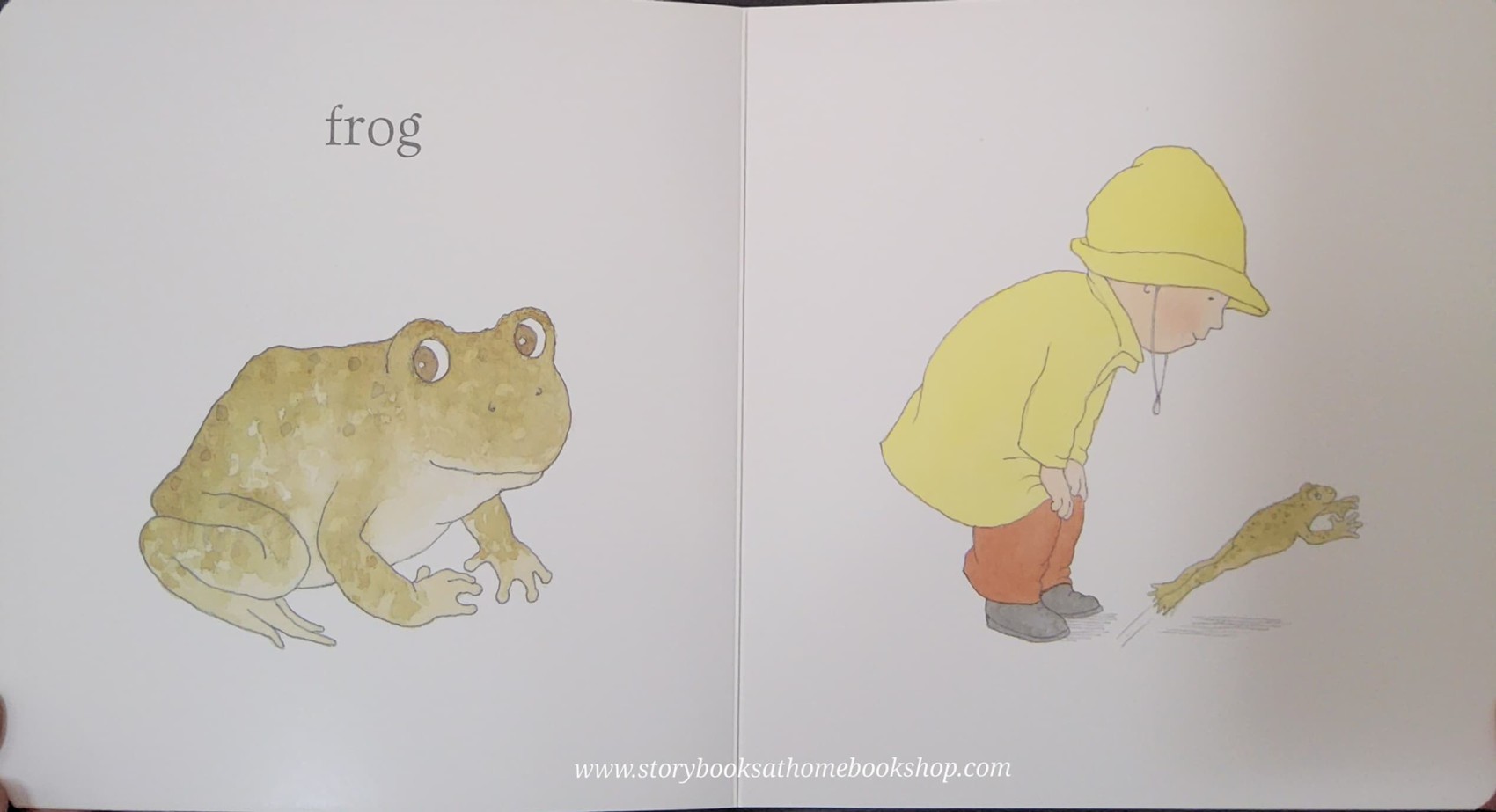 BOARD BOOK ** 🍅🍓I SEE BY HELEN OXENBURY