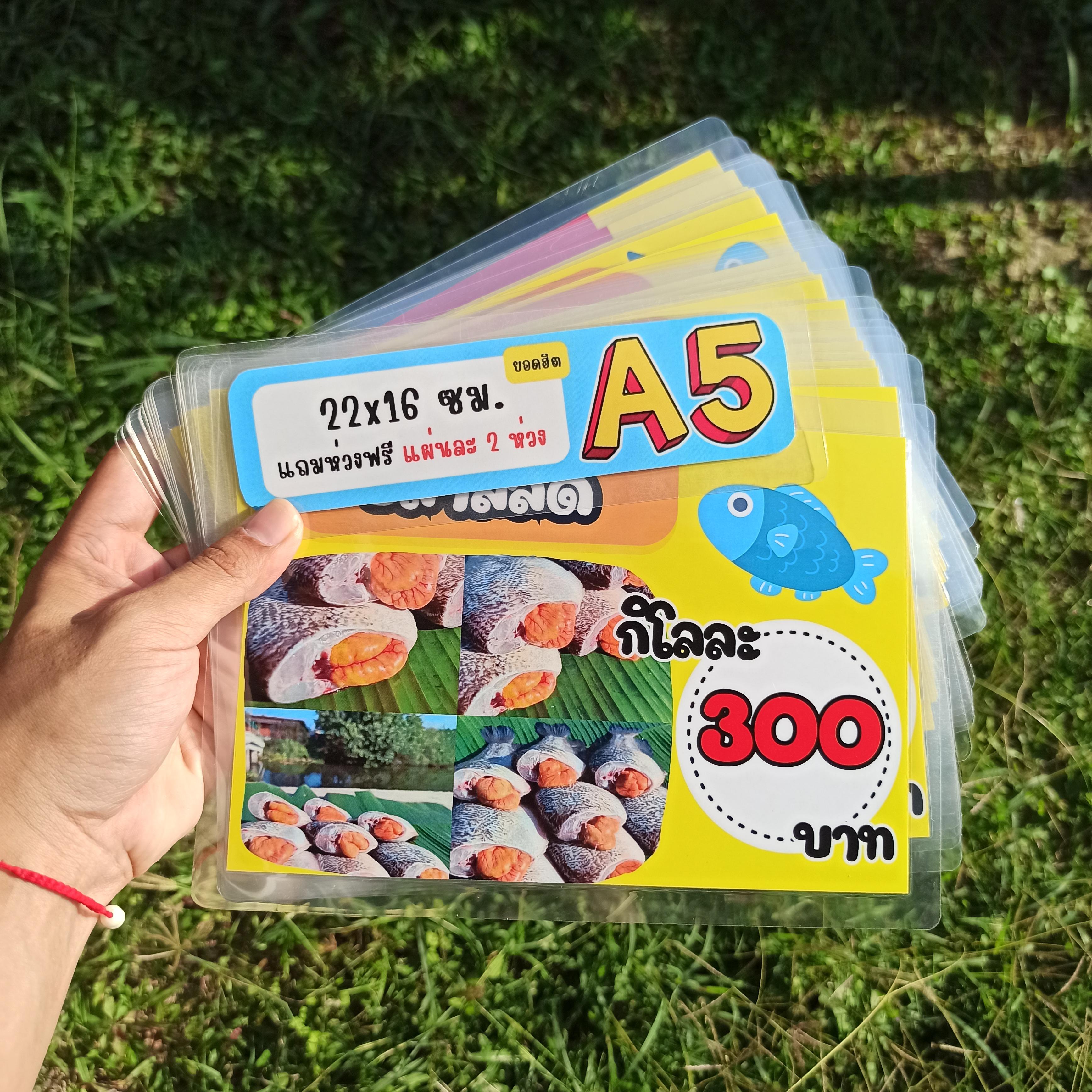 เมนูเคลือบแข็ง A5 ปลาทอด & ปลาส้ม (ครบทุกเมนูขายดี) รหัส 3780