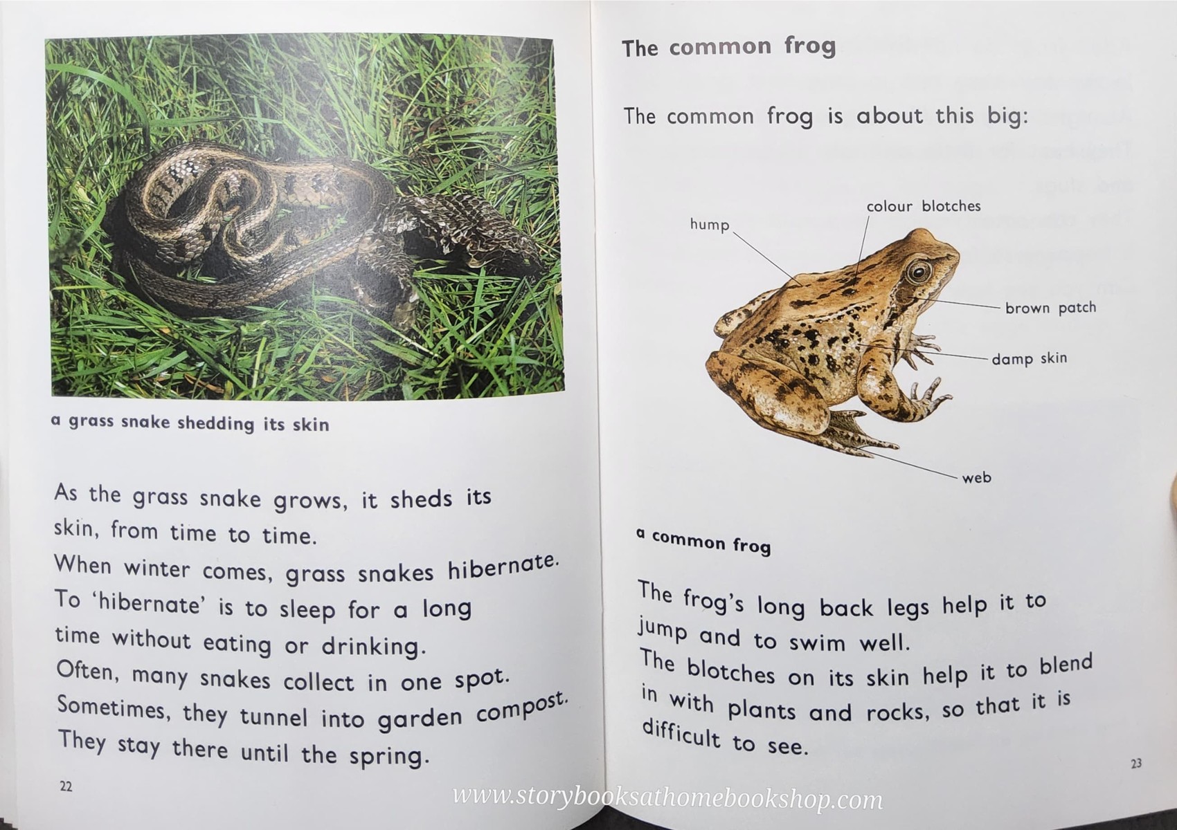 Knowledge Book** ð
ð
FUZZBUZZ FACTS: POND ANIMALS LEVEL2