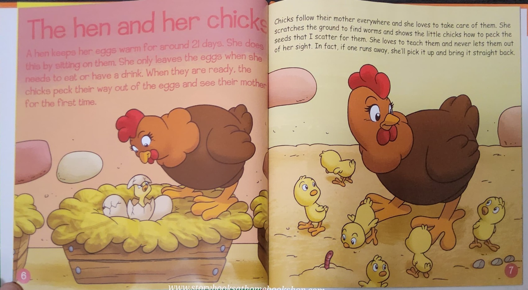 หนังสือนิทานปกแข็ง** 🍅🍓MY ANIMAL FARM: ANIMALS ON THE FARM:ANIMALS AND THEIR BABIES #19