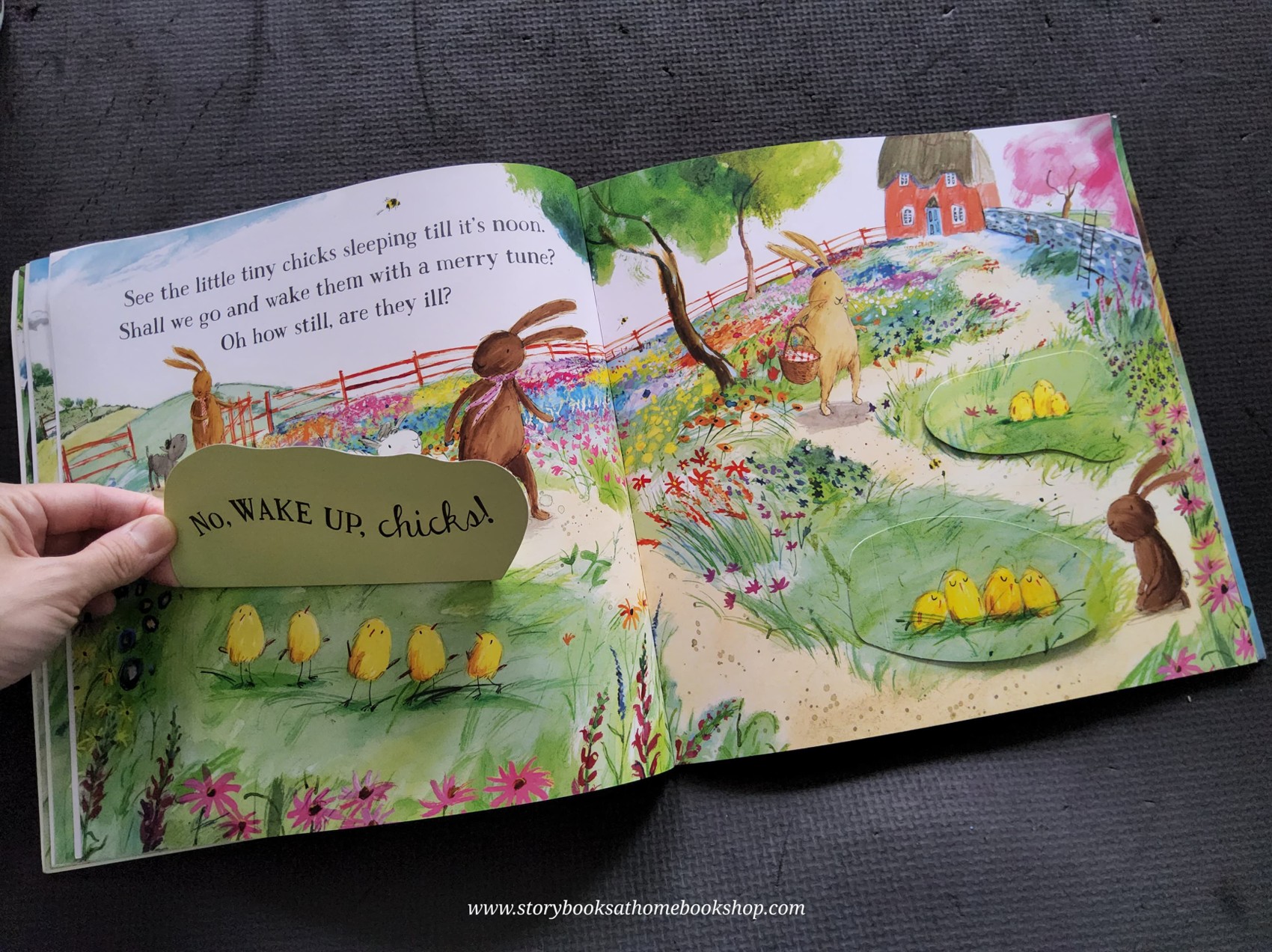 Flap Book หนังสือนิทานปกอ่อน** 🍅🍓Hop Little BUNNIES