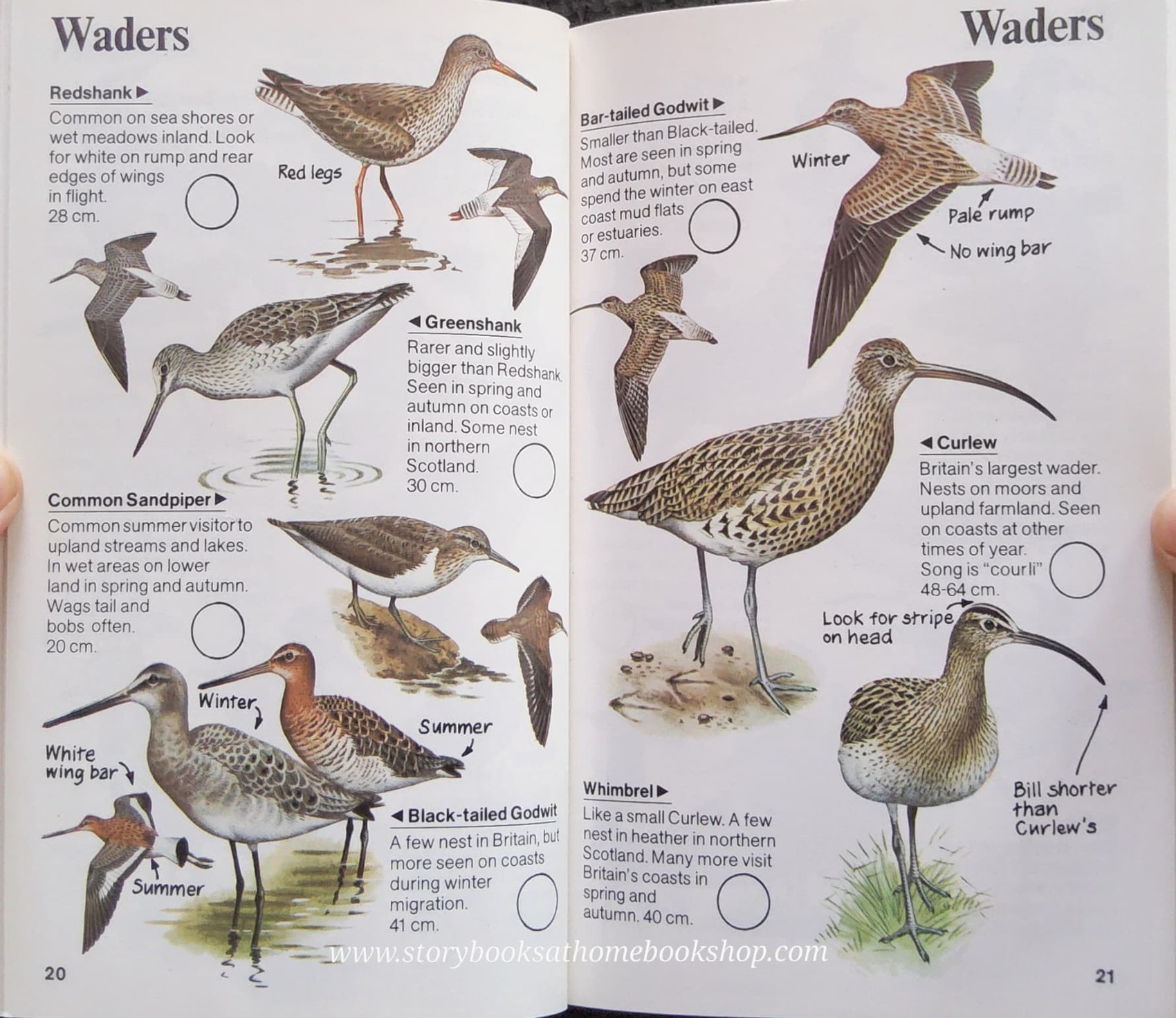 Knowledge Book** ð
ð
USBORNE SPOTTERS GUIDE: BIRDS