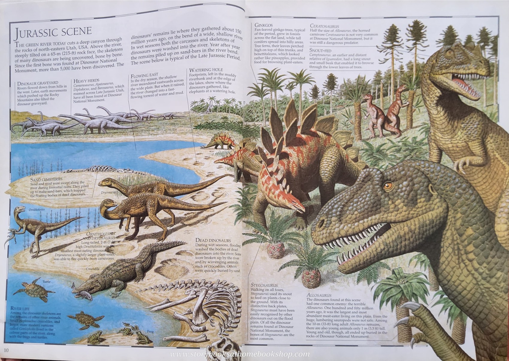 KNOWLEDGE BOOK** ♥️THE GREAT DINOSAUR ATLAS