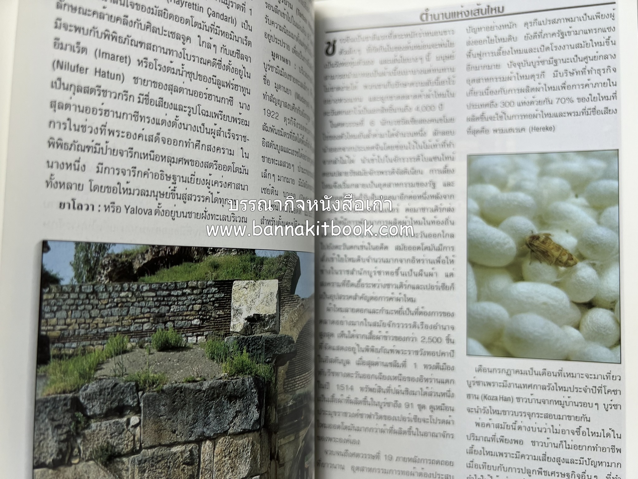ตุรกี : Insight Guides TURKEY หนังสือชุดสำนักพิมพ์หน้าต่างสู่โลกกว้าง (Windows on the World).