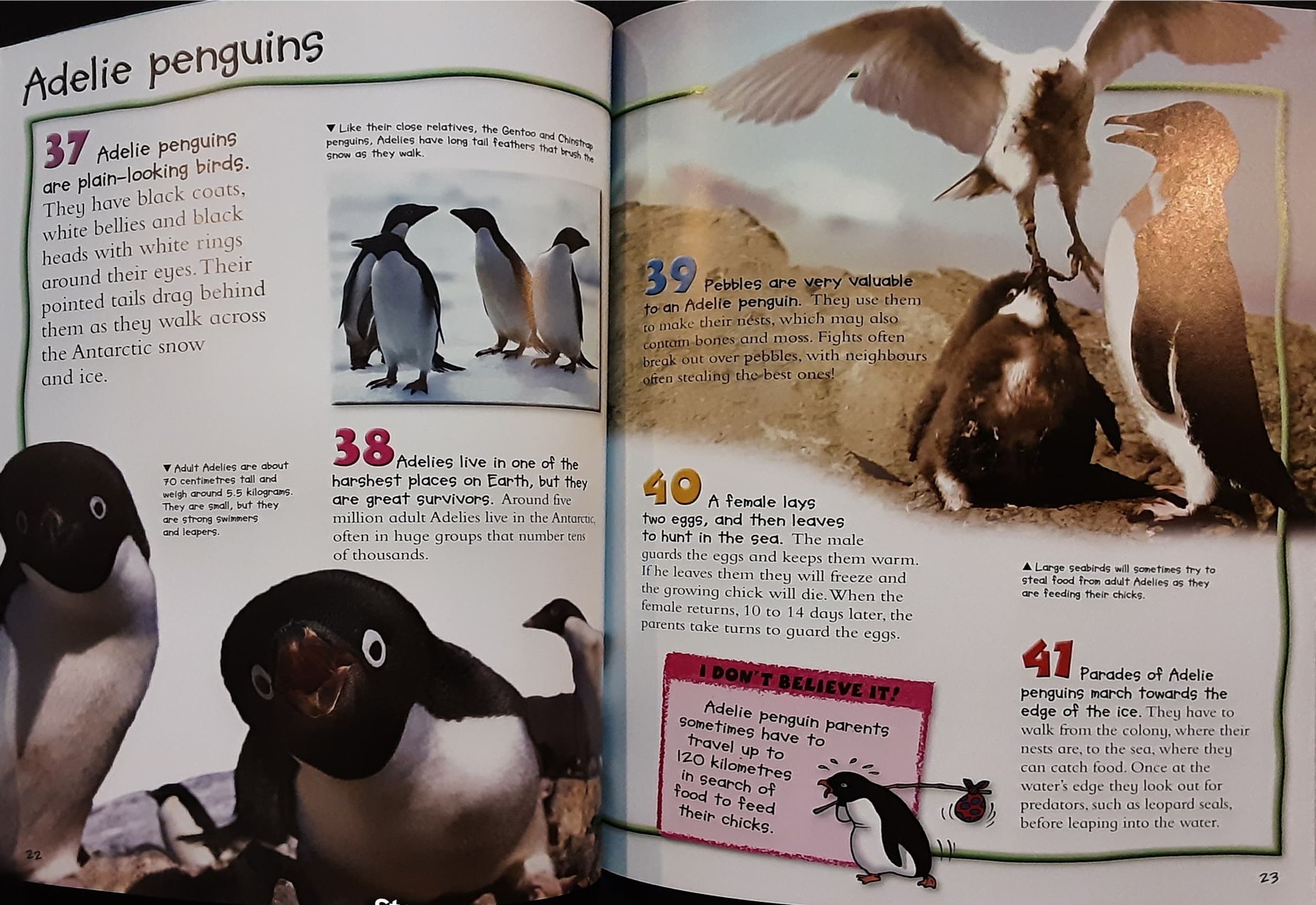 KNOWLEDGE BOOK** ♥️♥️100 FACTS PENGUINS♥️♥️