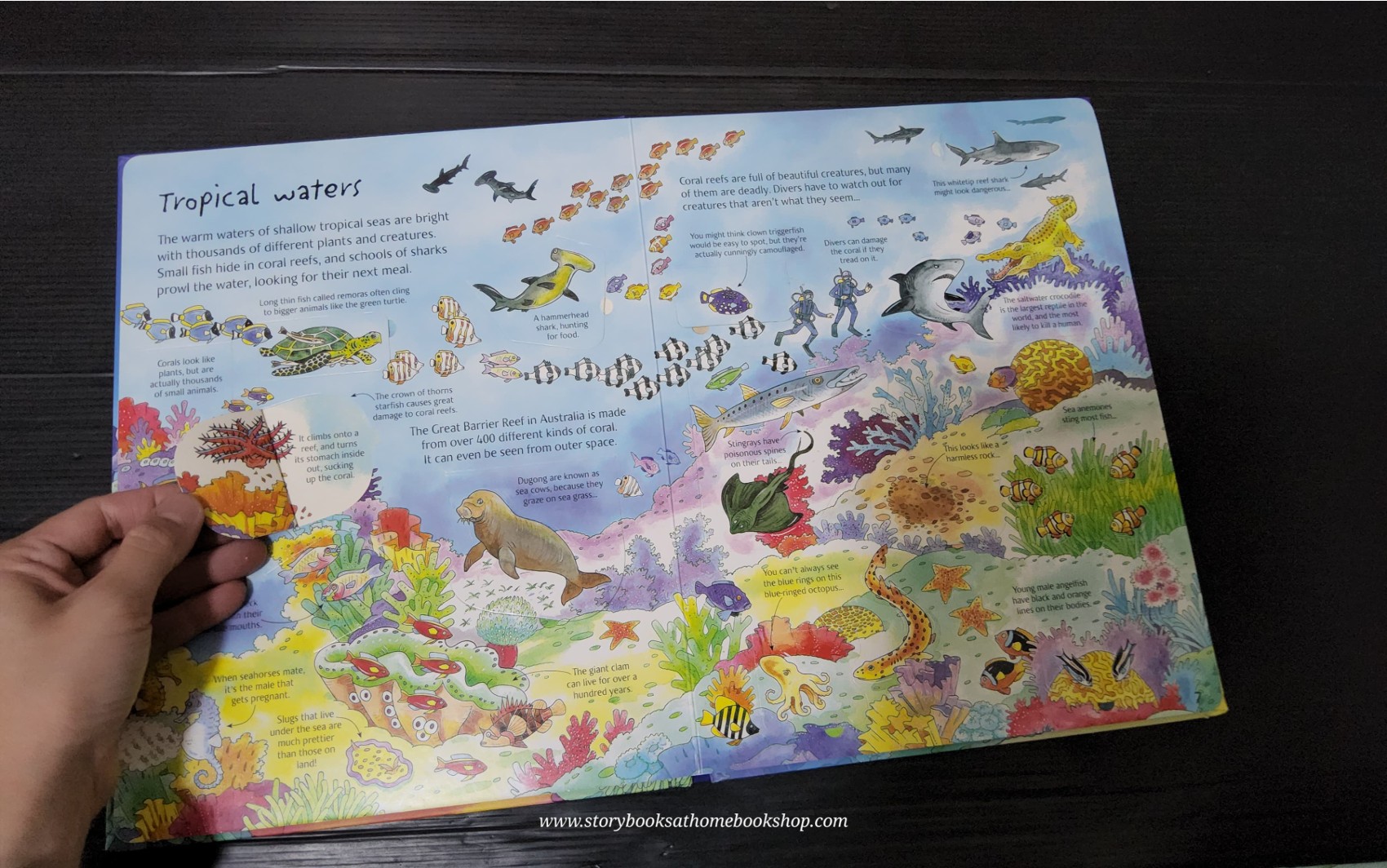 RECOMMENED SCIENCE BOOK** **Knowledge Book** ð
ð
An Usborne Flap book See UNDER THE SEA with over 80 flaps to lift