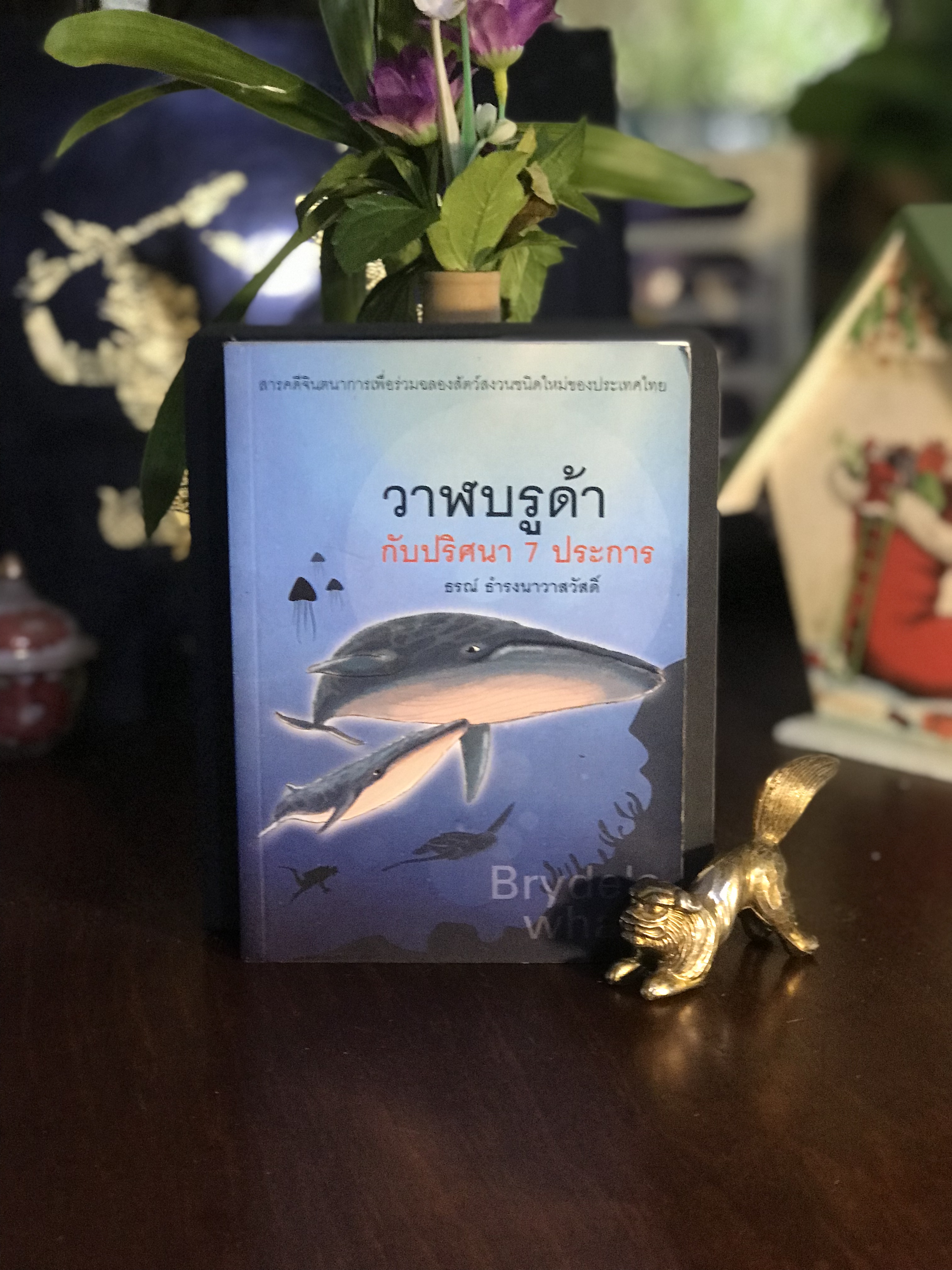 วาฬบรูด้า กับปริศนา 7 ประการ ผู้เขียน: ธรณ์ ธำรงนาวาสวัสดิ์ สำนักพิมพ์: บ้านพระอาทิตย์ | WA9