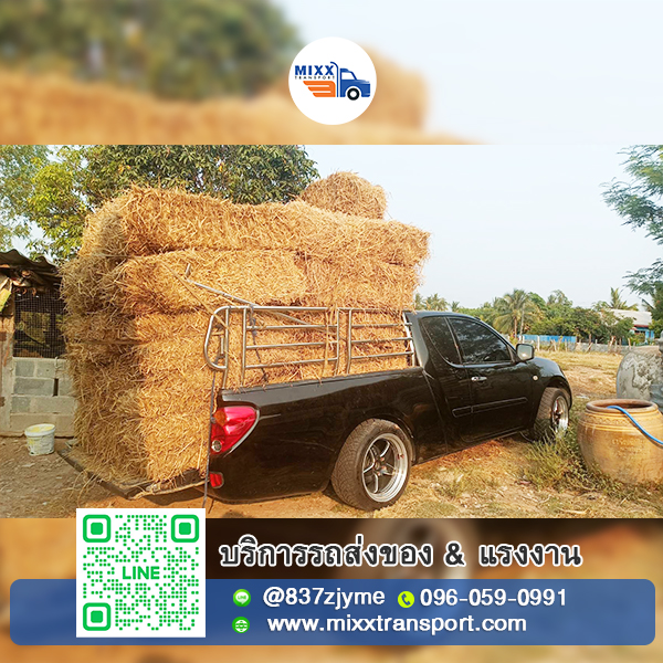 รถขนส่ง ขนฟาง งานการเกษตร