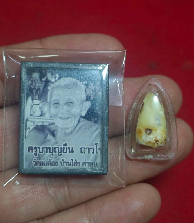 พระทันตธาตุ พร้อมรูปถ่ายหลวงปูู่่ครูบาบุญยืน วัดสบล้อง อ.บ้านโฮ่่ง จ.ลำพูน รูปถ่ายสร้าง พ.ศ.๒๕๕๒ จำนวนการสร้าง ๑๐๘ รูป ชุดนี้เป็นของพ่อหนานไพบูลย์ อายุ ๗๕ ปี (บันทีก ๒๕๖๖) ท่านเป็นศิษย์อุปฐากคอยดูแลหลวงปู่และครูบาบุญยืนมีศักดิ์เป็นลุงของพ่อหนานไพบูลย์ด้วย