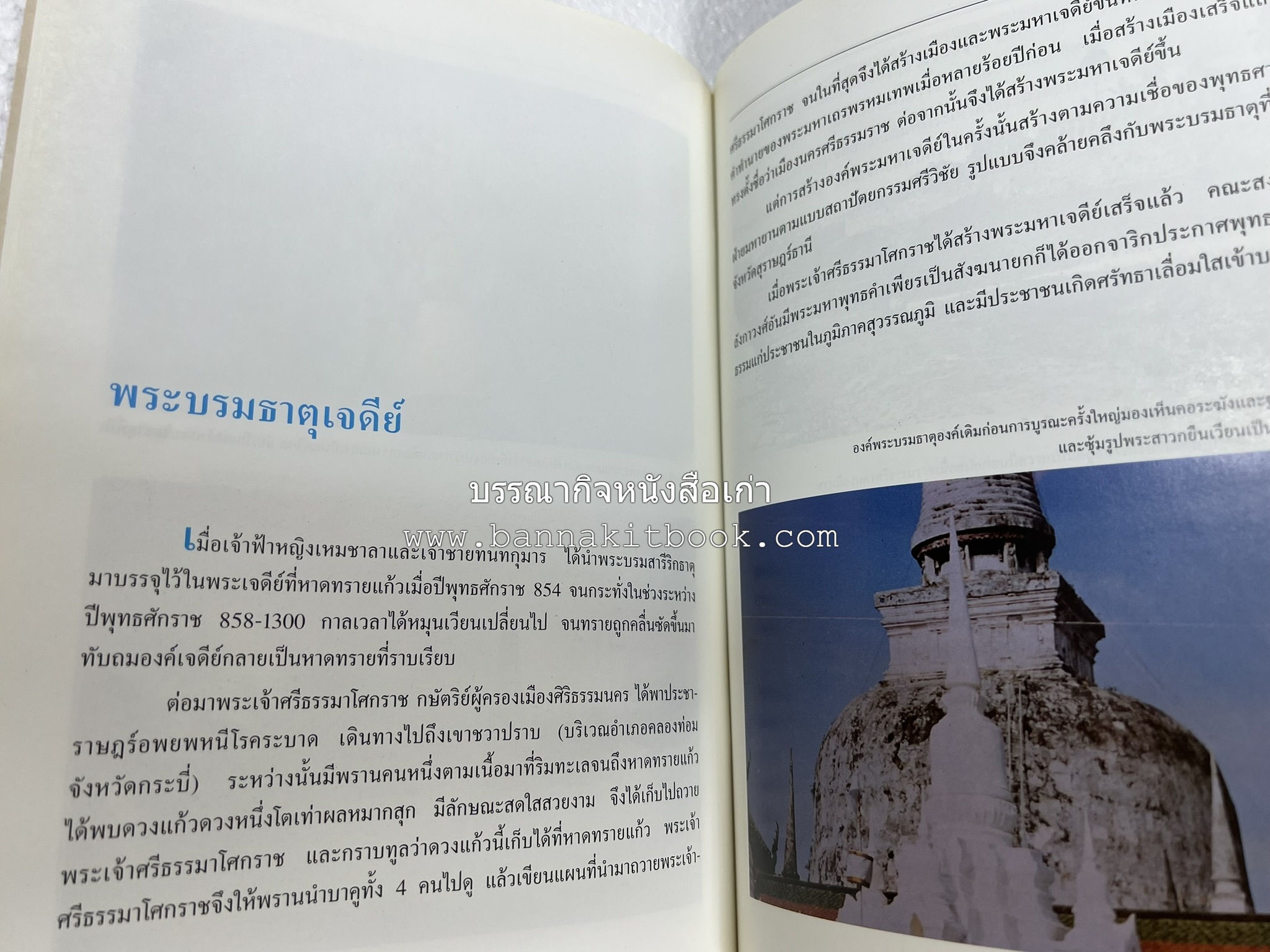 นครศรีธรรมราช สารคดีชุดถิ่นทองของไทย โดย : สมัย สุทธิธรรม.