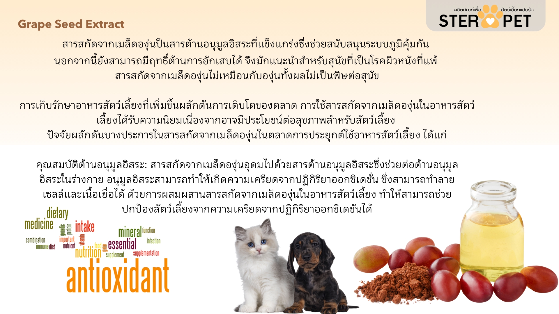 เซตทดลอง สเตอร์ เพ็ท Ster Pet เนื้องอกหมาแมว ก้อนเนื้อหมาแมว มะเร็งสุนัขแมว ลดอักเสบ ลดขนาดก้อนเนื้อ เบื่ออาหาร น้ำหนักลด ไตวายหมาแมว แผลยุบเร็ว ( 15 แคปซูล)