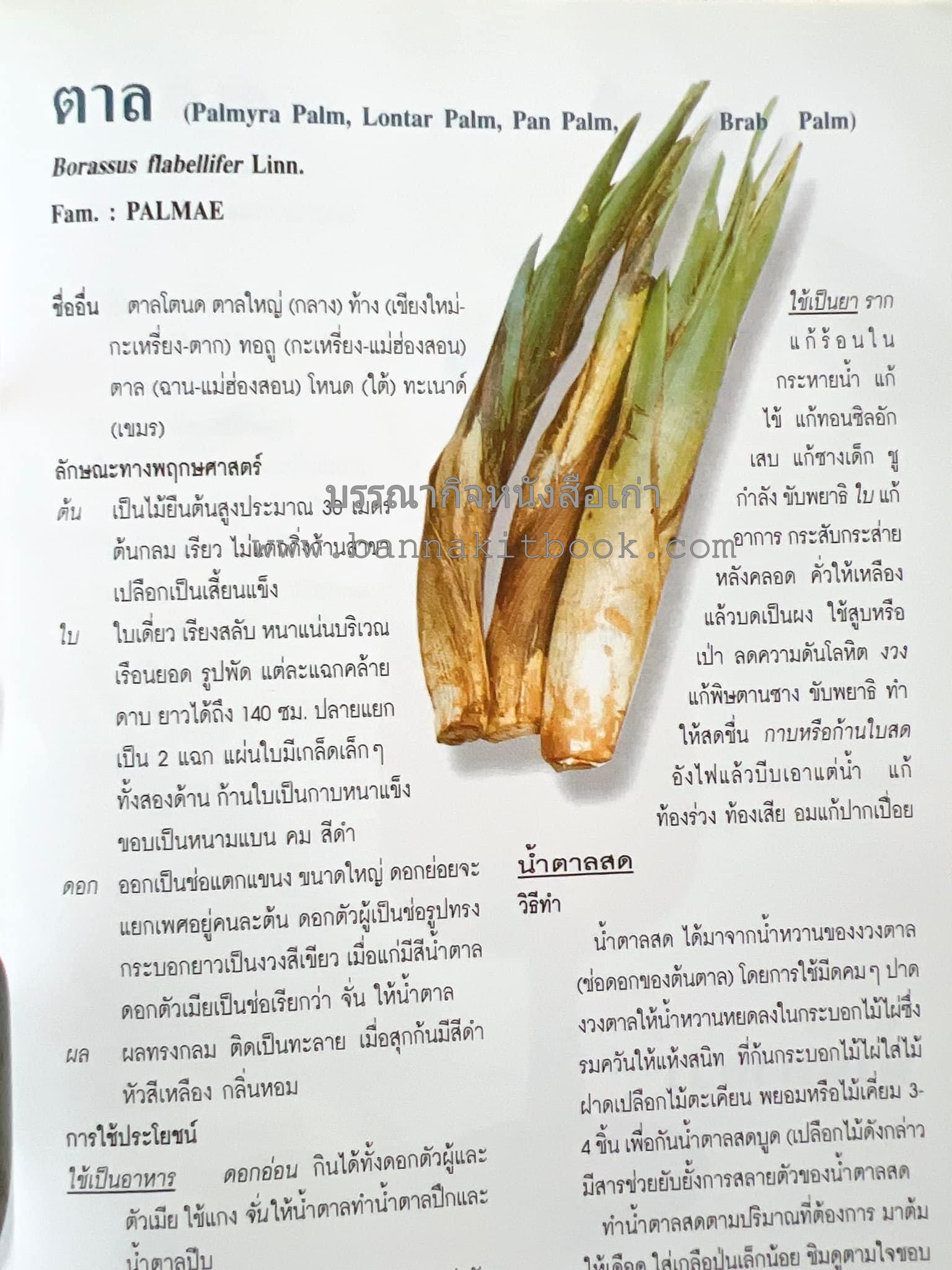 น้ำสมุนไพร 108 สูตร-วิธีทำจากผักพื้นบ้านและผลไม้ไทย โดย สถาบันการแพทย์แผนไทย.