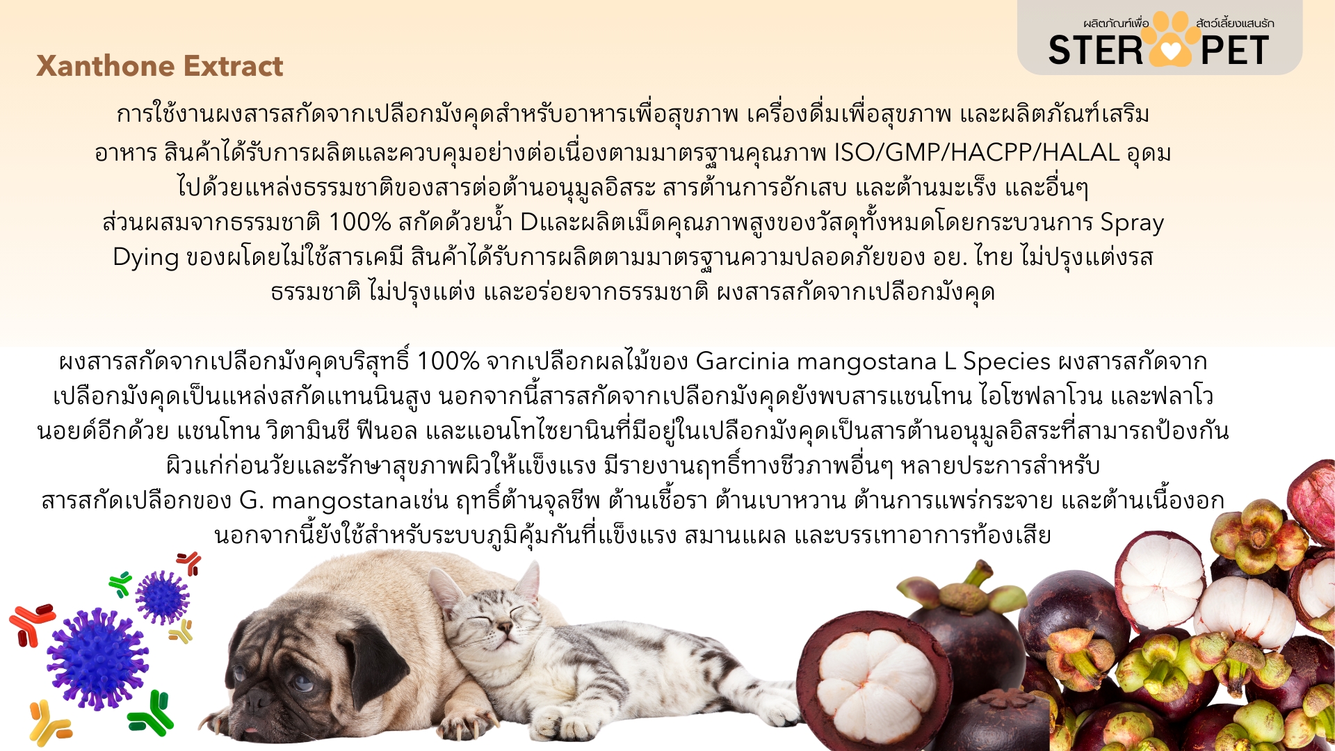 เซตแนะนำ (ชุด 1 เดือน) สเตอร์ เพ็ท Ster Pet เนื้องอกหมาแมว ก้อนเนื้อหมาแมว มะเร็งสุนัขแมว ลดอักเสบ ลดขนาดก้อนเนื้อ ซึม ไม่ร่าเริง เบื่ออาหาร น้ำหนักลด ไตวายหมาแมว แผลยุบเร็ว ( 30 แคปซูล)