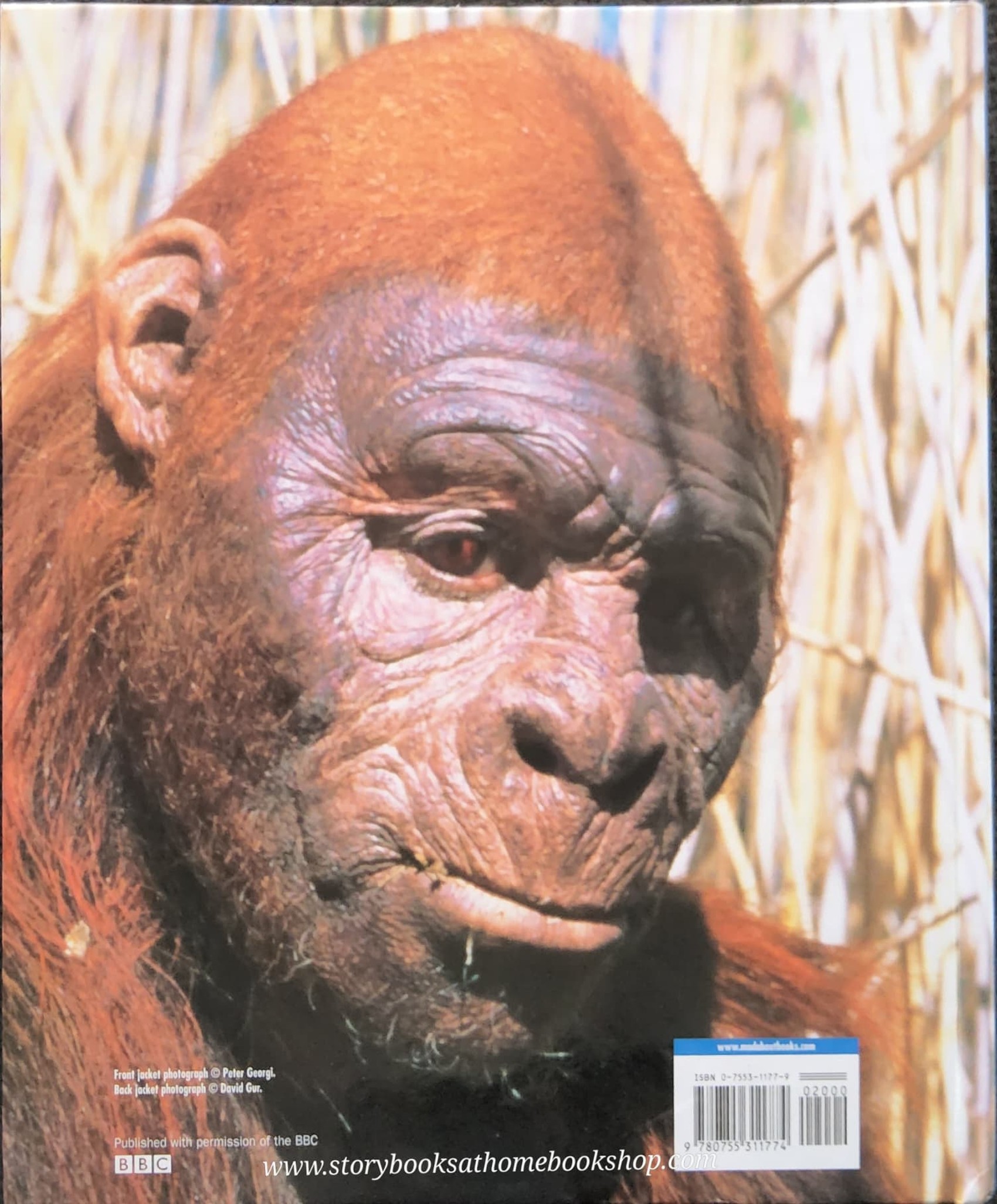 KNOWLEDGE BOOK ** 🍅🍓 WALKING WITH CAVEMEN EYE-TO-EYE WITH YOUR ANCESTORS