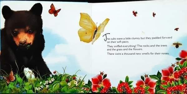 BOARD BOOK** 🍅🍓WE ARE BEARS