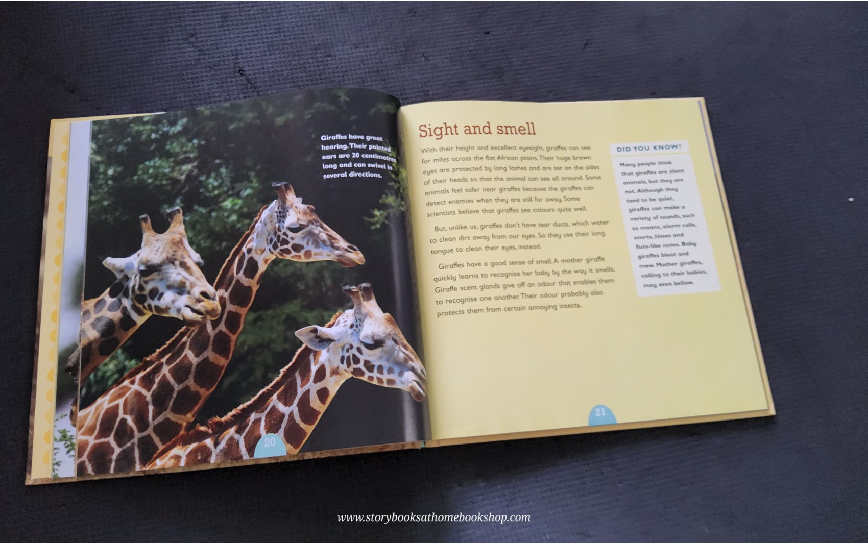 KNOWLEDGE BOOK** ♥️♥️ALL ABOUT ANIMAL:GIRAFFE