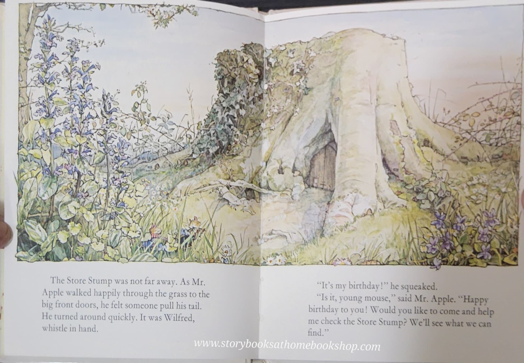 หนังสือนิทานปกแข็ง** 🍅🍓BRABLY HEDGE SPRING STORY BY JILL BARKLEM