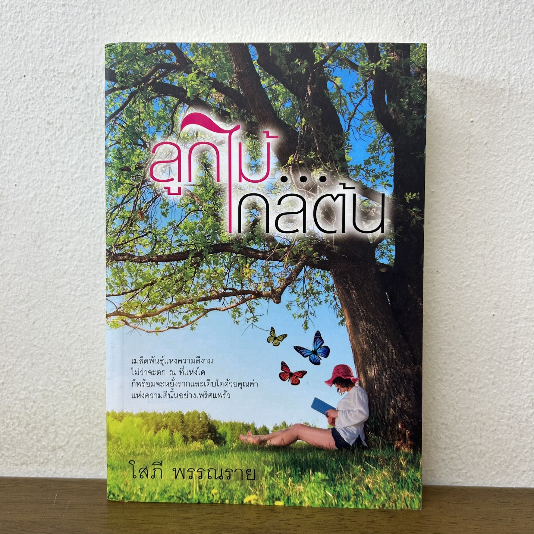 ลูกไม้ไกลต้น ... โสภี พรรณราย (มือสอง) นิยาย โรแมนติก แสงดาว