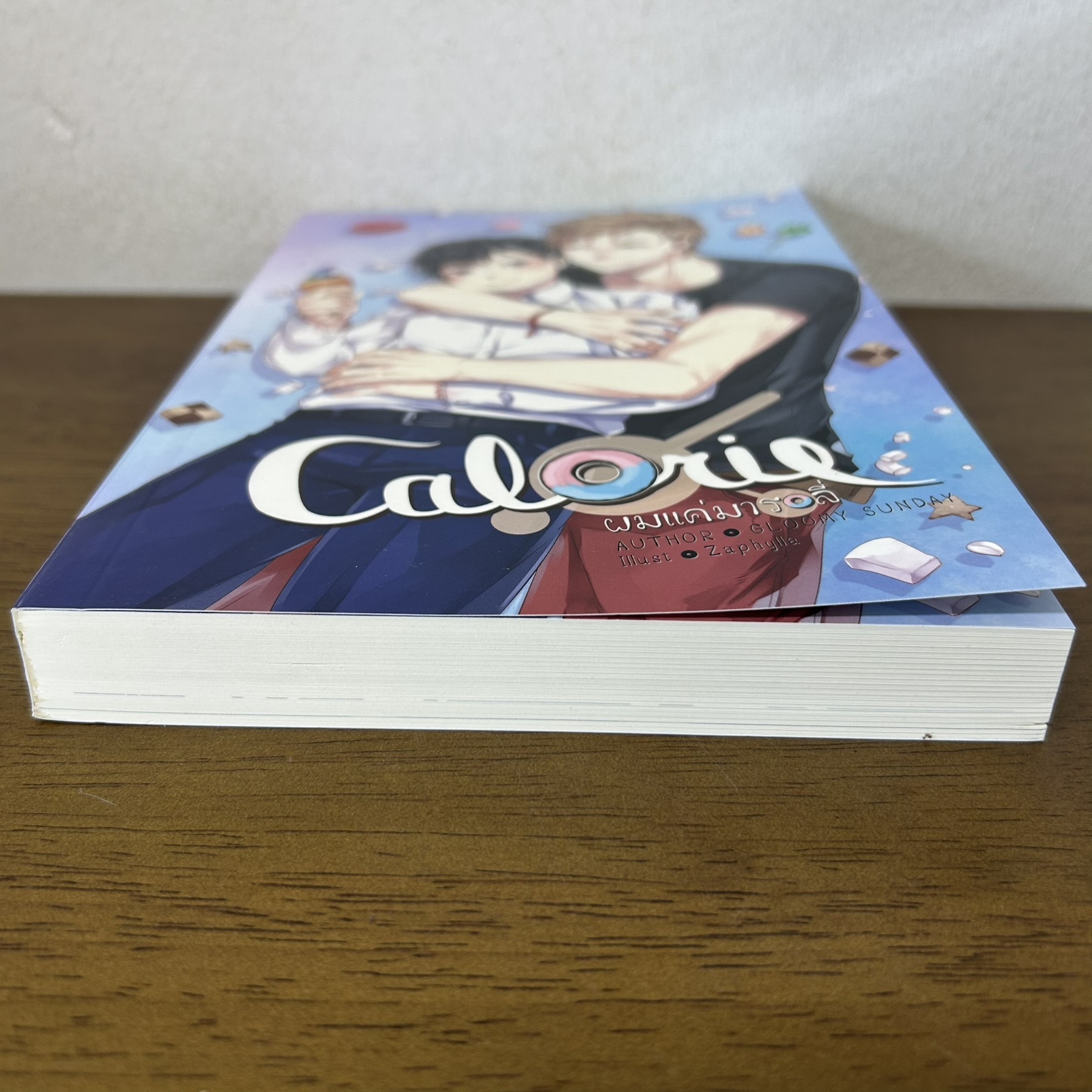 [YAOI] Calorie ผมแค่มารอลี่ ... Gloomy Sunday (มือสอง) นิยายวาย Hermit