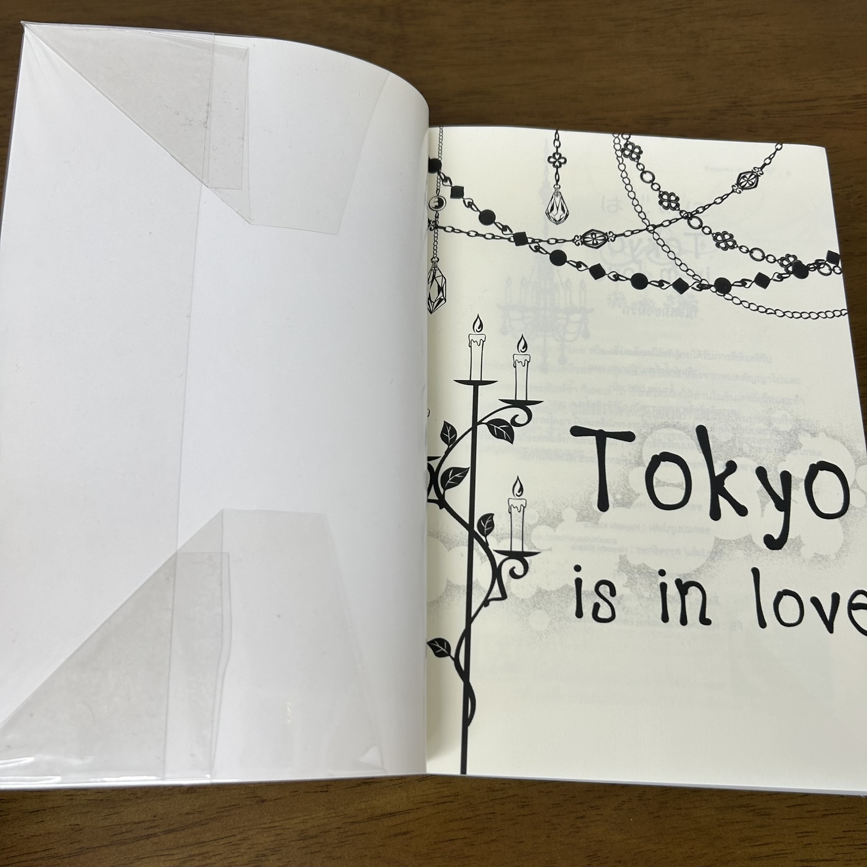 Tokyo is in love ~ที่โตเกียวมีรัก~ ... Hayashi Kisara (มือสอง) นิยาย โรแมนติก ทำมือ