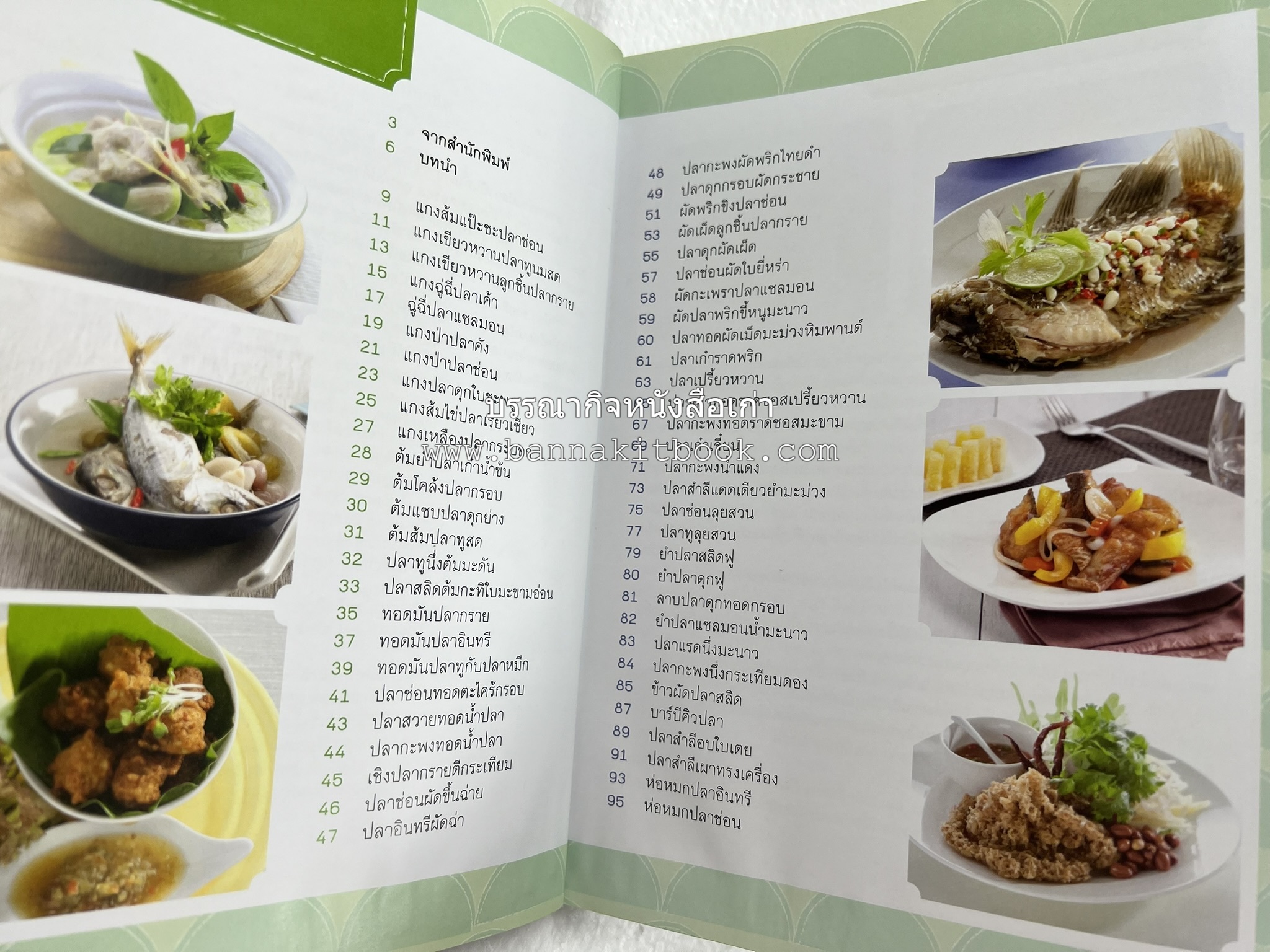 ปลา ขายดี มีอาชีพ โดย : สิริรักษ์ บางสุด.