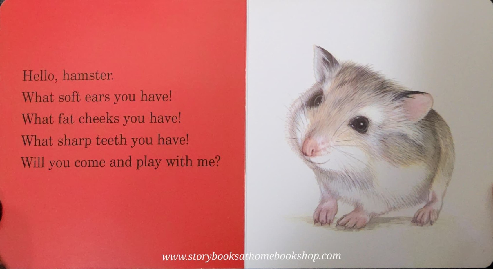BOARD BOOK** 🍅🍓THE LITTLE HAMSTER