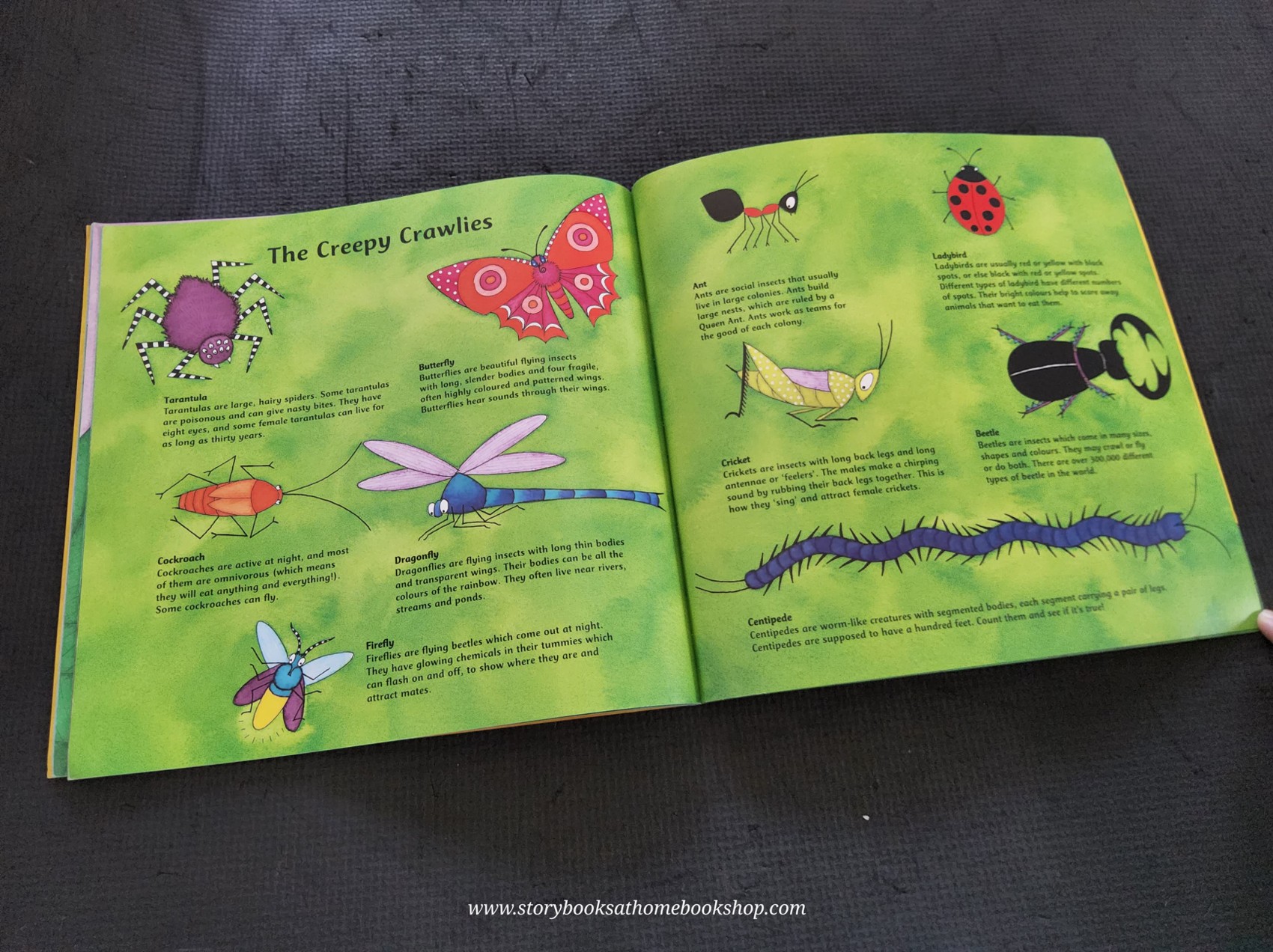 หนังสือนิทานปกอ่อน** 🍅🍓CREEPY CRAWLY CALYPSO WITH CD