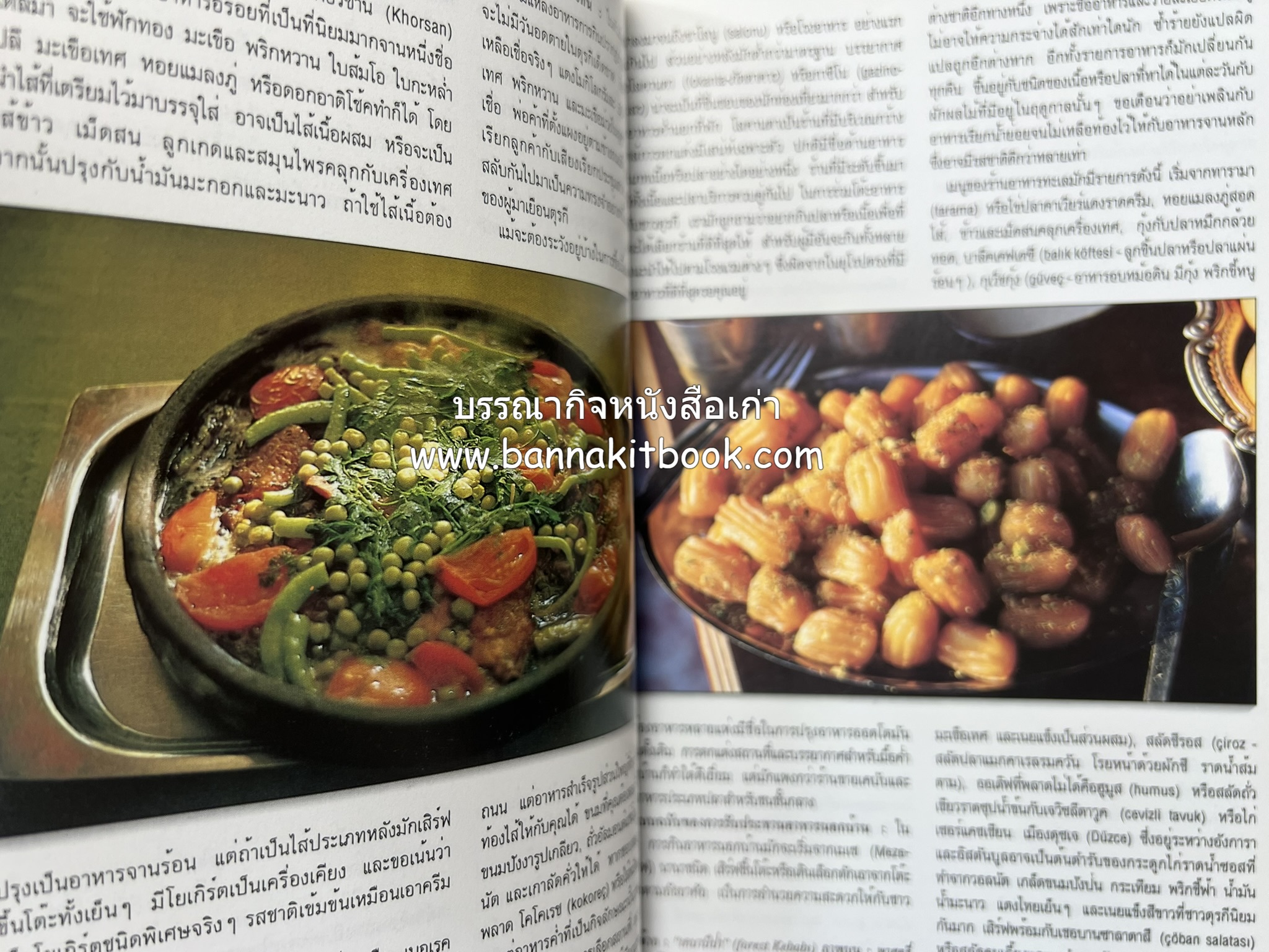 ตุรกี : Insight Guides TURKEY หนังสือชุดสำนักพิมพ์หน้าต่างสู่โลกกว้าง (Windows on the World).