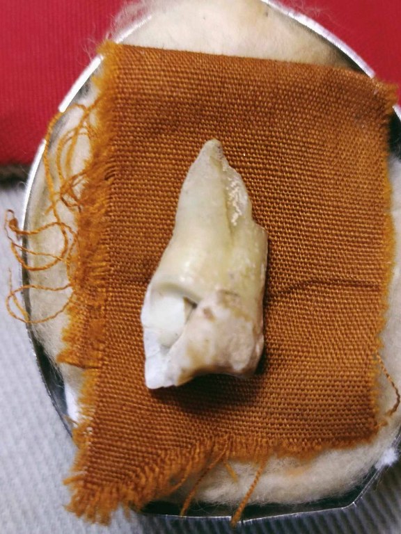 พระทันตธาตุ พระเกศา จีวร หลวงพ่อตี๋ วัดพรหมวิหาร อ.แม่สาย จ.เชียงราย เจ้าของเดิมชื่อลุงสงวน เคยเป็นคนขับรถหลวงพ่อตี๋ อยู่บ้านป่าเหมือด ต.แม่สาย อ.แม่สาย จ.เชียงราย เสียชีวิตเมื่อวันที่ 9 มีนาคม 2558 อายุ 78 ปี ได้มาจากพี่พร อายุ 47 ปี ลูกสาวลุงสงวน