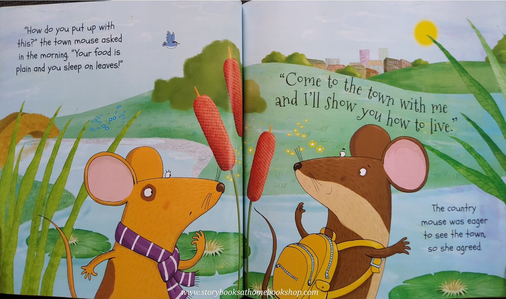 หนังสือนิทานปกอ่อน** 🍅🍓Aesop's Fables The Town Mouse and the Country Mouse