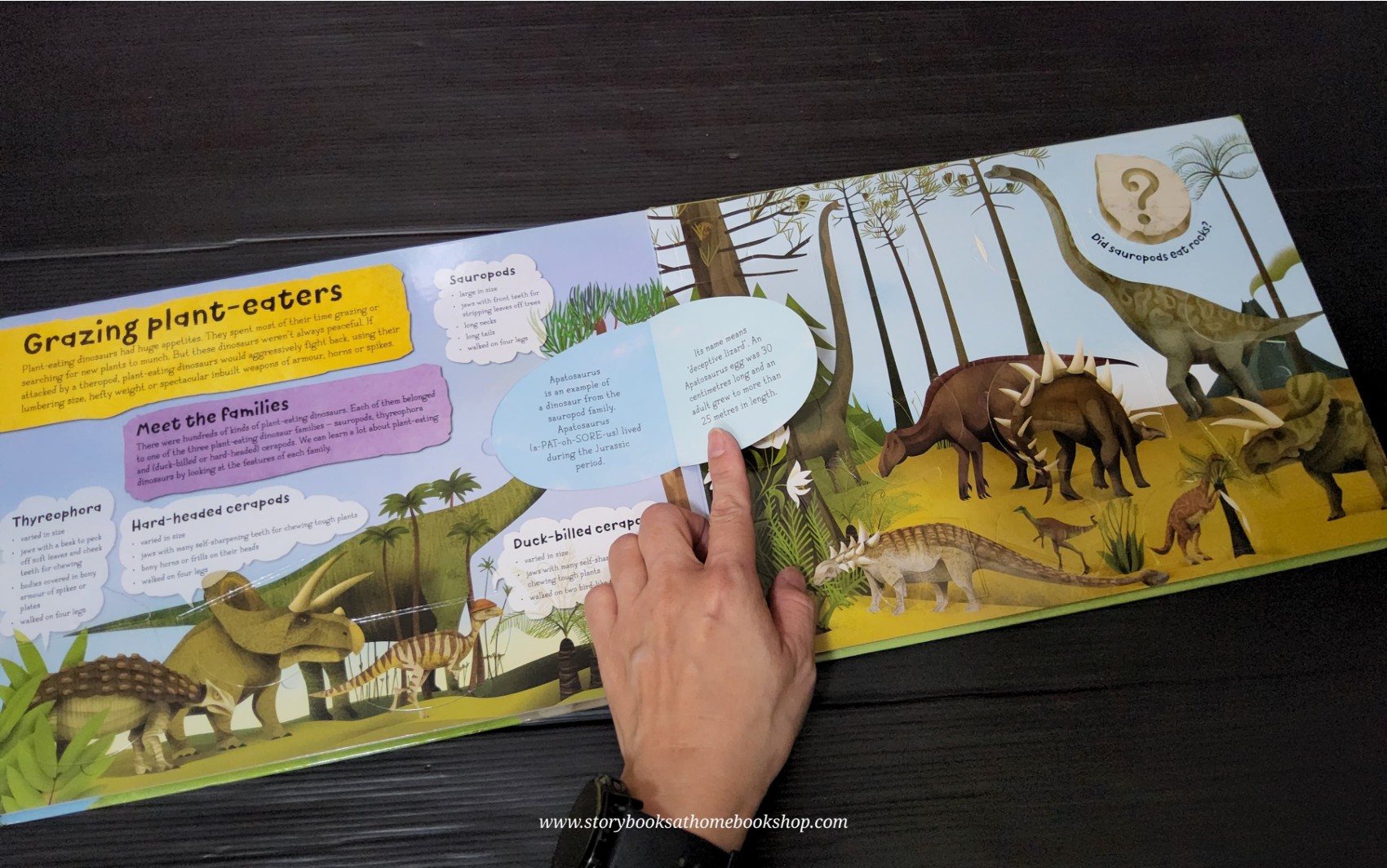 FLAP BOARD BOOK** 🍓🍓DINOSAURS A LIFT-THE-FLAP BOOK