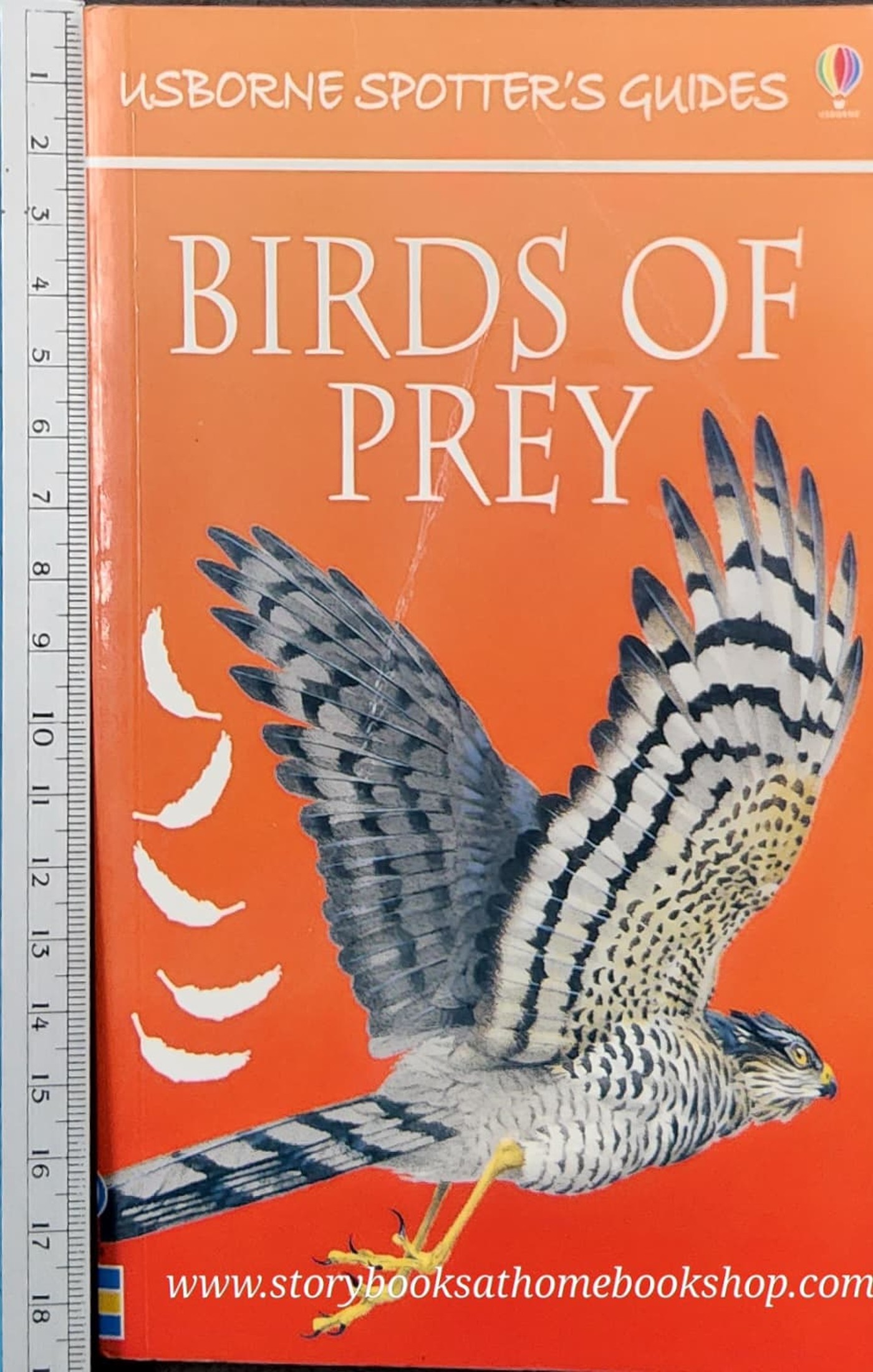 Knowledge Book** 🍅🍅Usborne Spotter's Guide BIRDS OF PREY